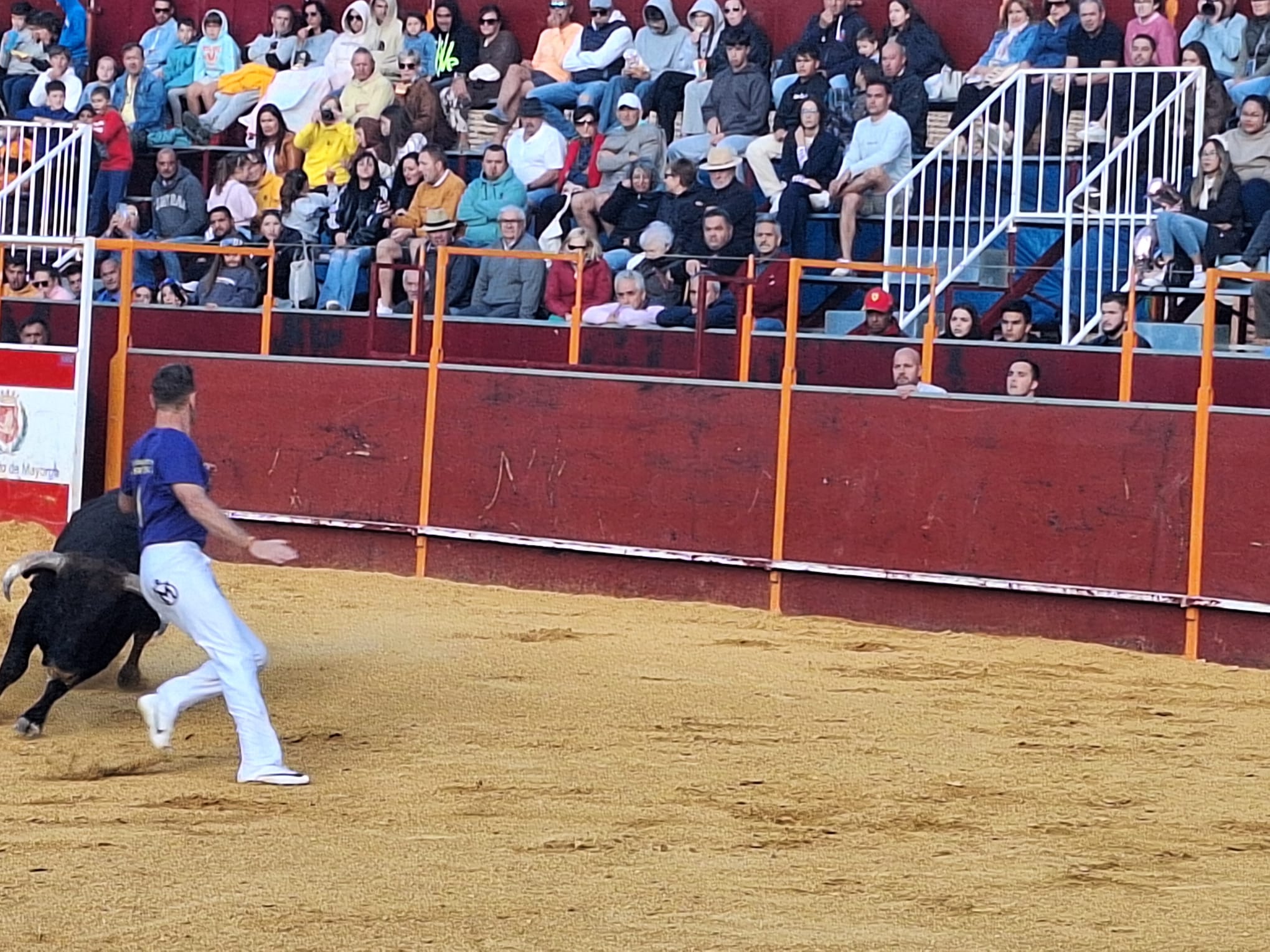 Los saltos de Christian Peñas ganan el concurso de cortes de Mayorga