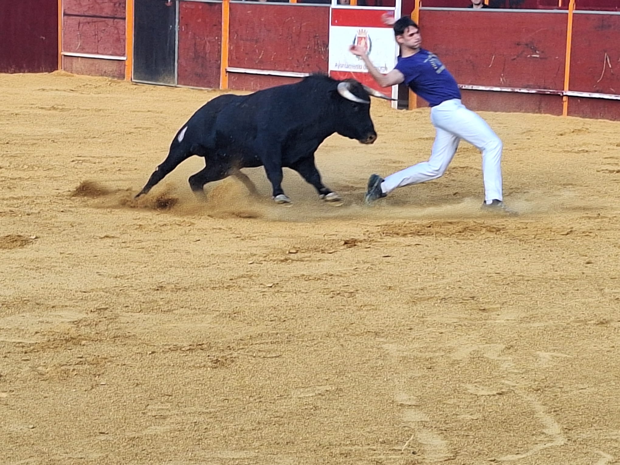 Los saltos de Christian Peñas ganan el concurso de cortes de Mayorga
