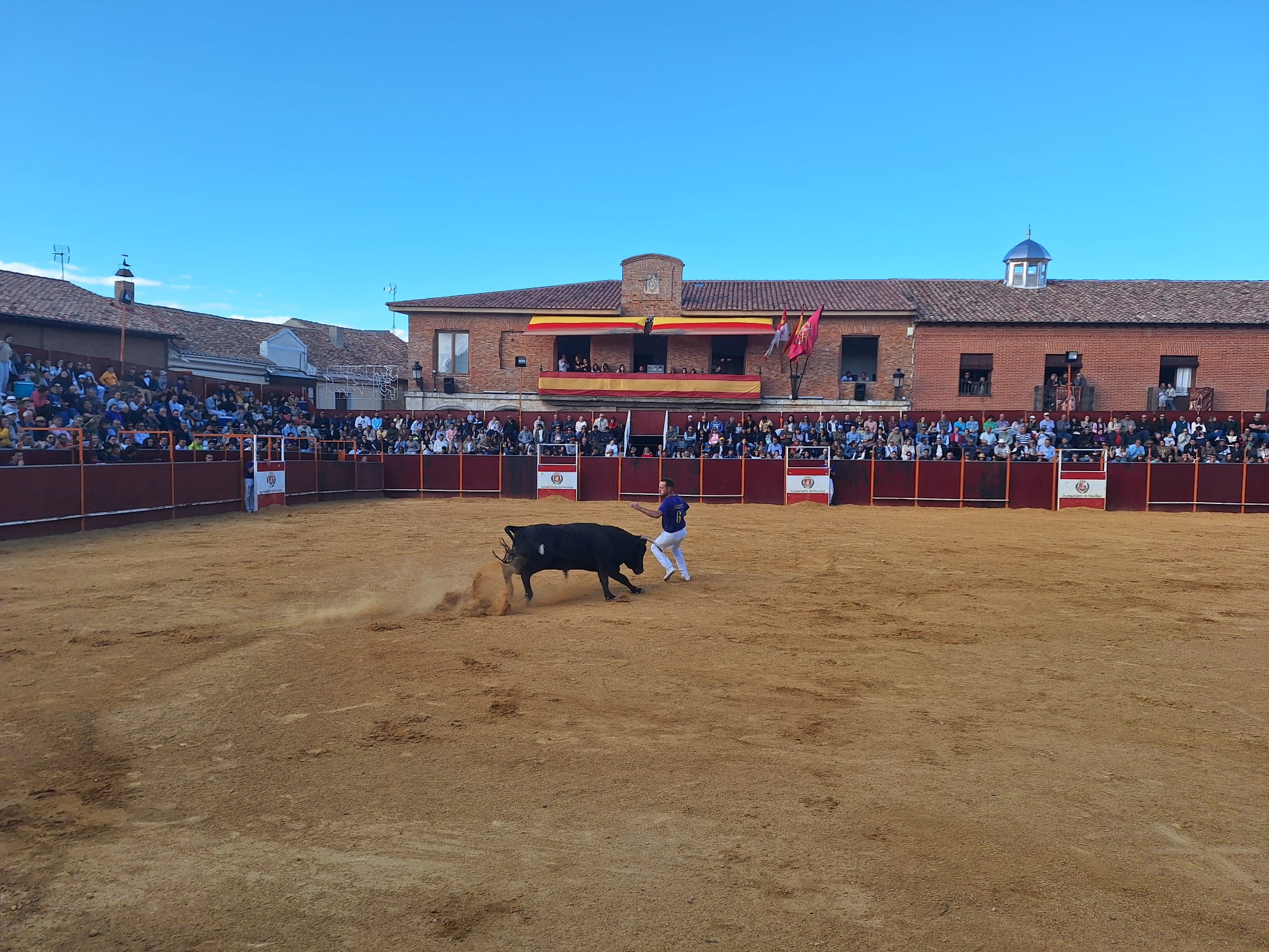 Los saltos de Christian Peñas ganan el concurso de cortes de Mayorga