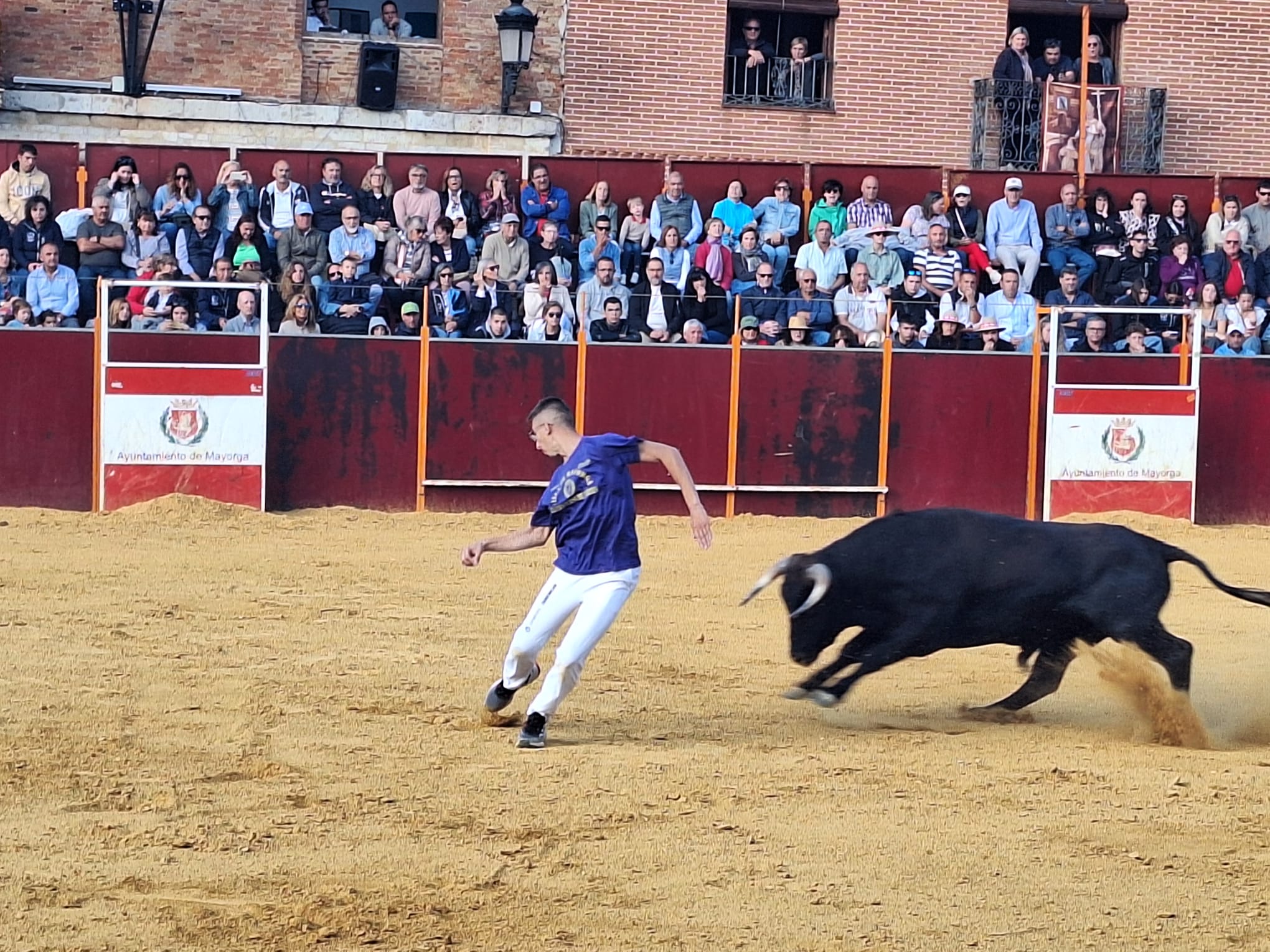 Los saltos de Christian Peñas ganan el concurso de cortes de Mayorga