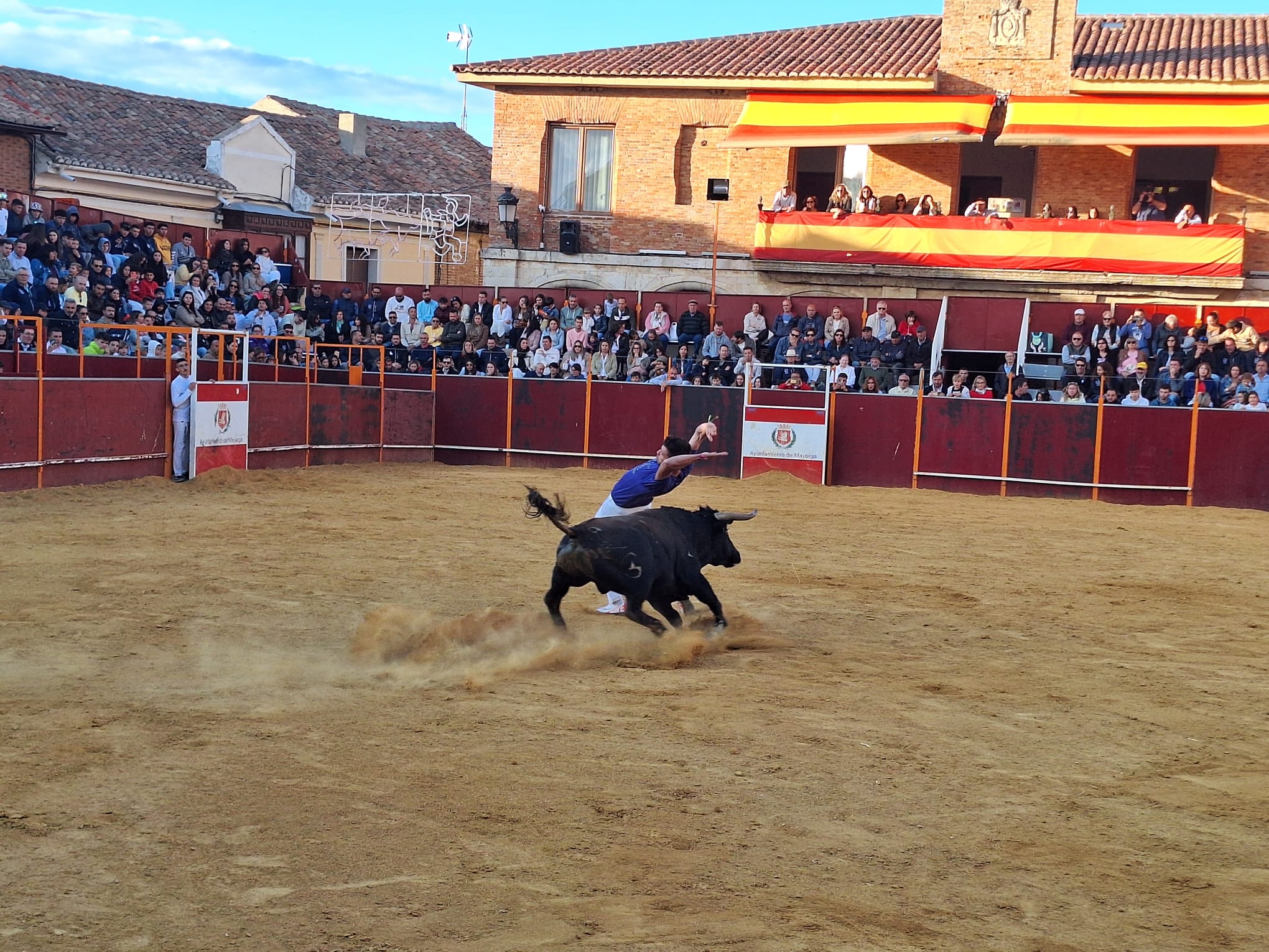 Los saltos de Christian Peñas ganan el concurso de cortes de Mayorga