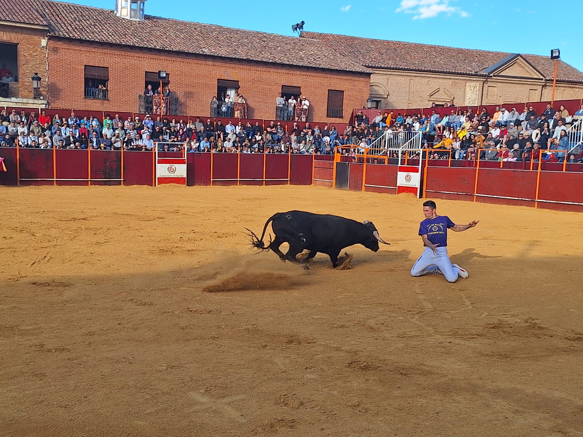 Los saltos de Christian Peñas ganan el concurso de cortes de Mayorga