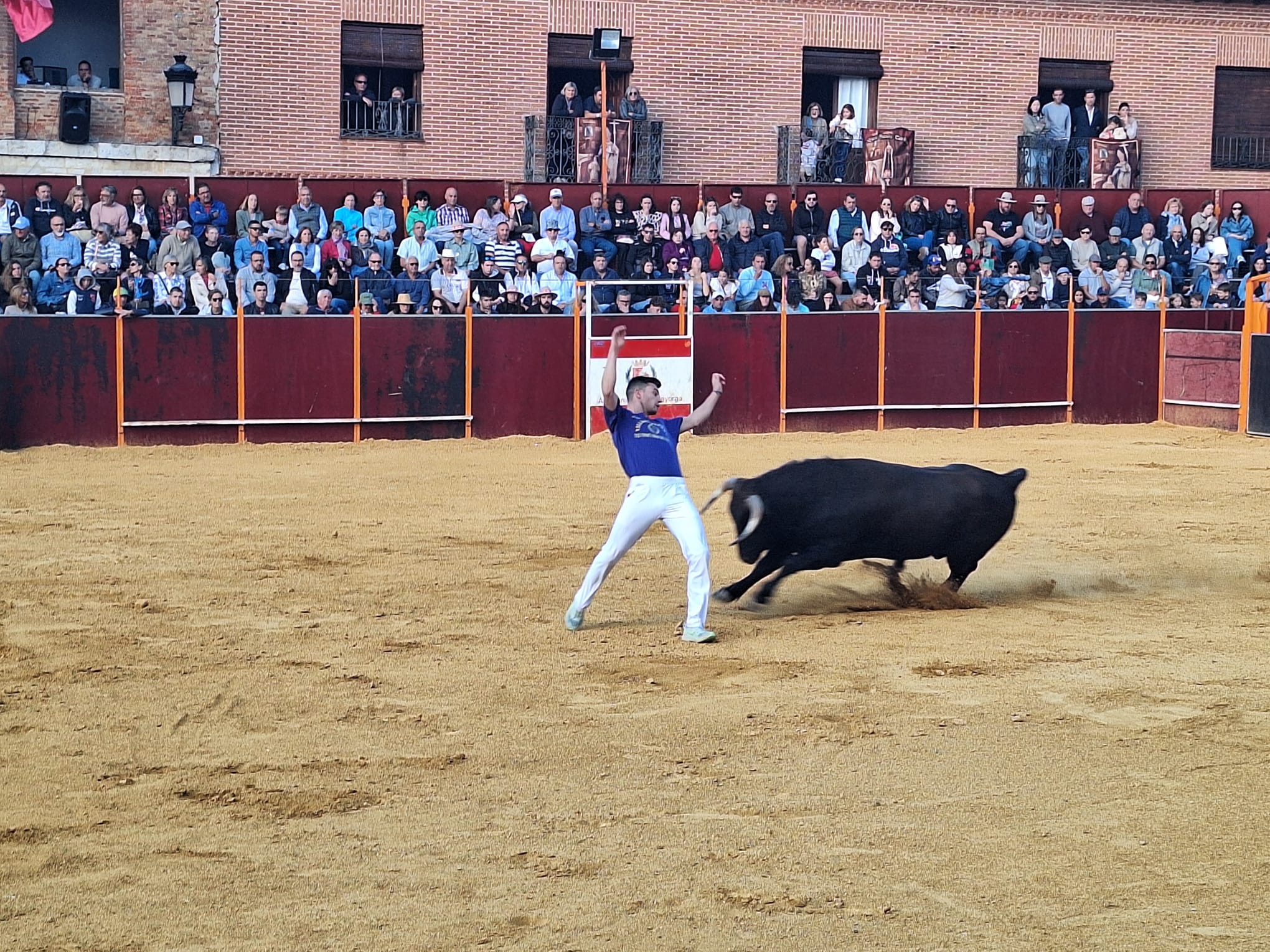 Los saltos de Christian Peñas ganan el concurso de cortes de Mayorga