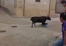 Un momento de la cogida en Palazuelo de Vedija.