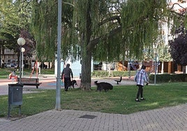 Un grupo de personas pasea perros en Virrey Velasco, antes de la reforma.