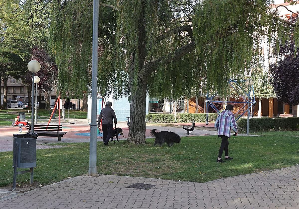 Un grupo de personas pasea perros en Virrey Velasco, antes de la reforma.