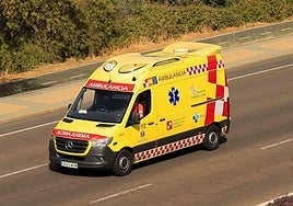Ambulancia del Sacyl.