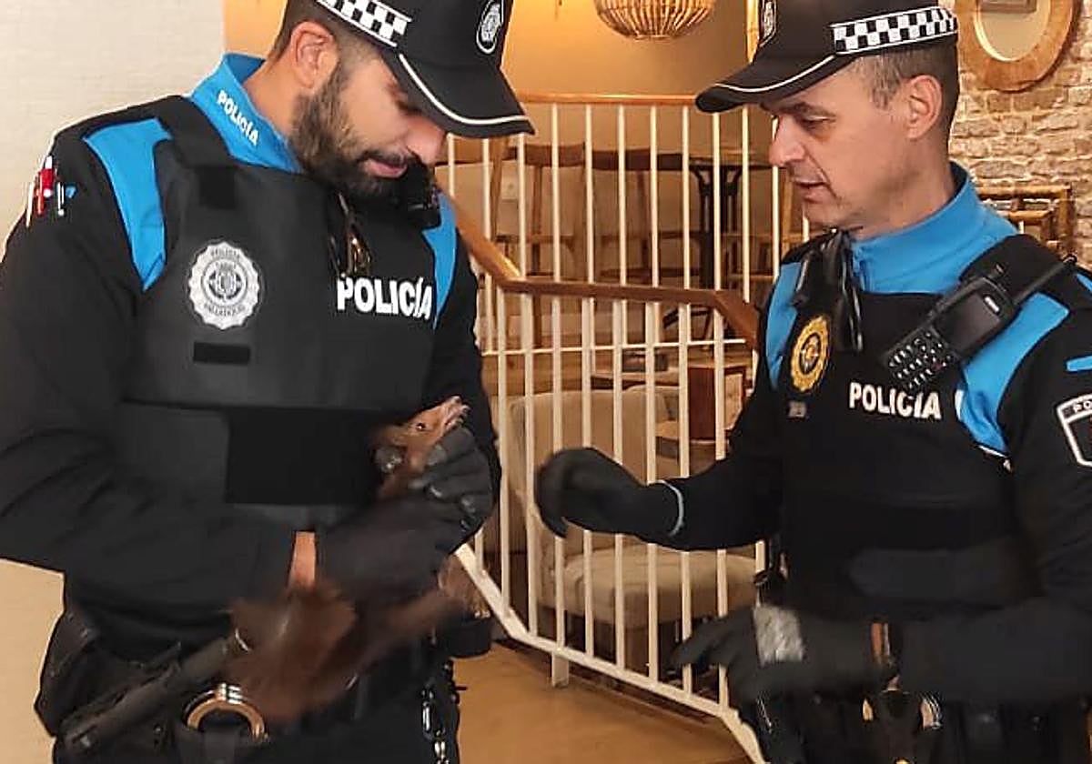 Uno de los agentes locales sujeta a la ardilla captura en la cafetería de Recoletos.