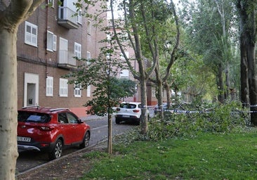 A prisión un ladrón multirreincidente por robar coches durante la espectacular tormenta en Valladolid