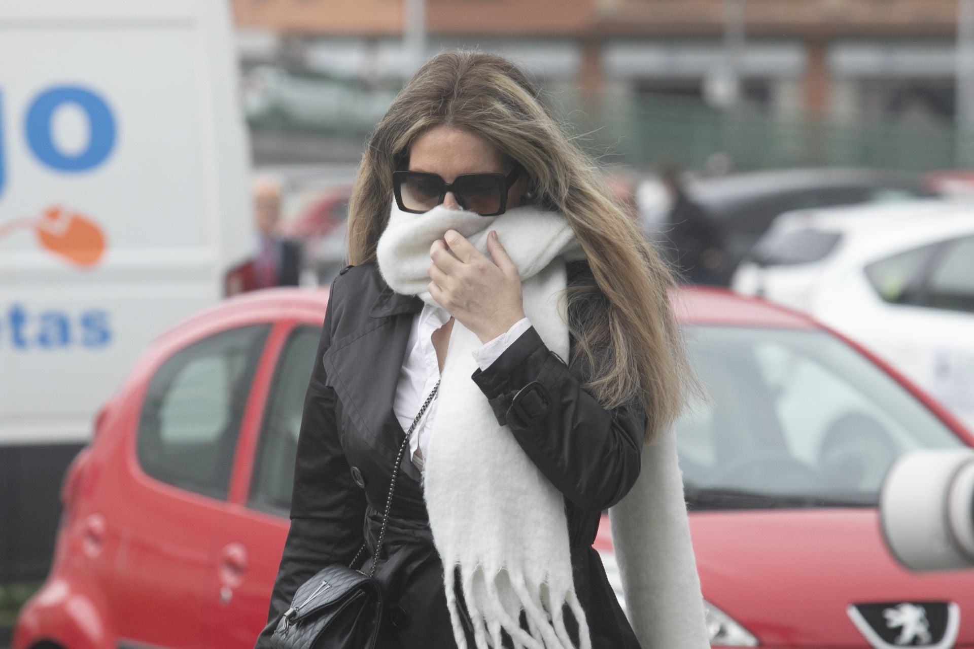 Claudia Montes acude para testificar por el 'Caso Koldo'.