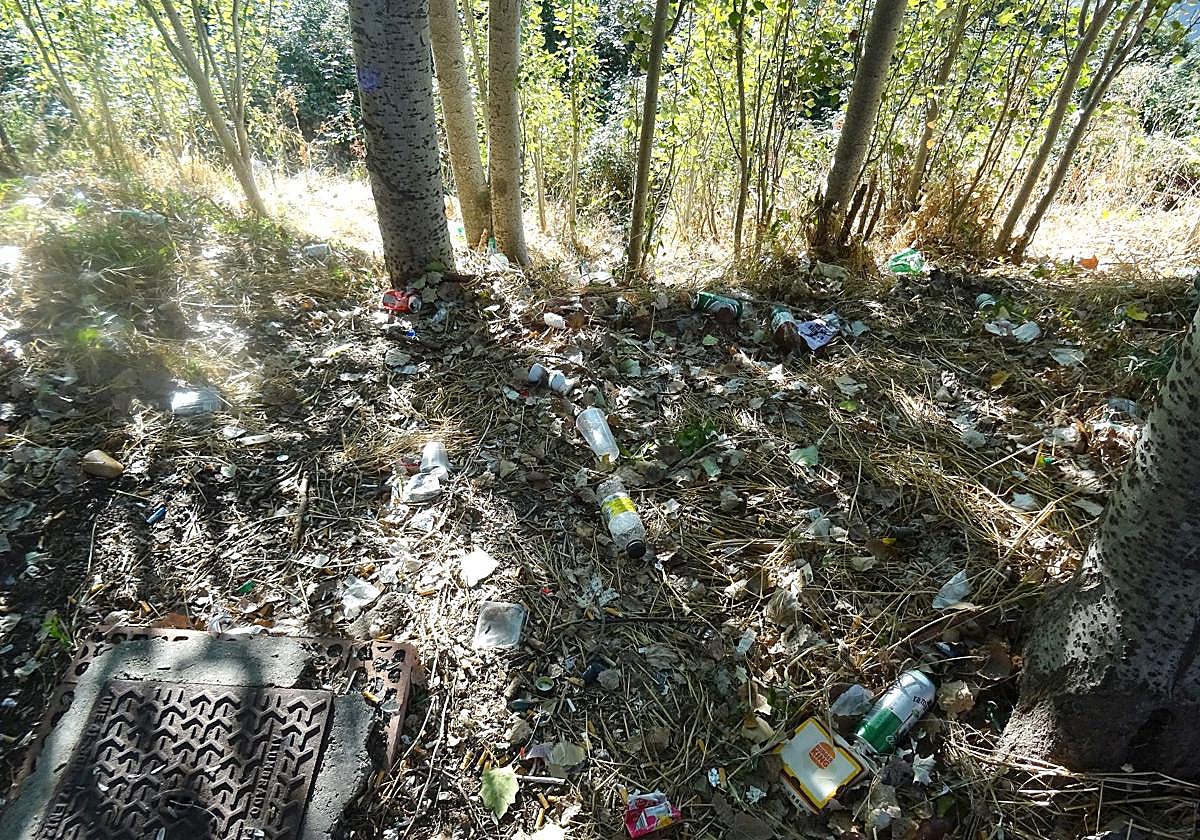 Las imágenes de la basura del Pisuerga