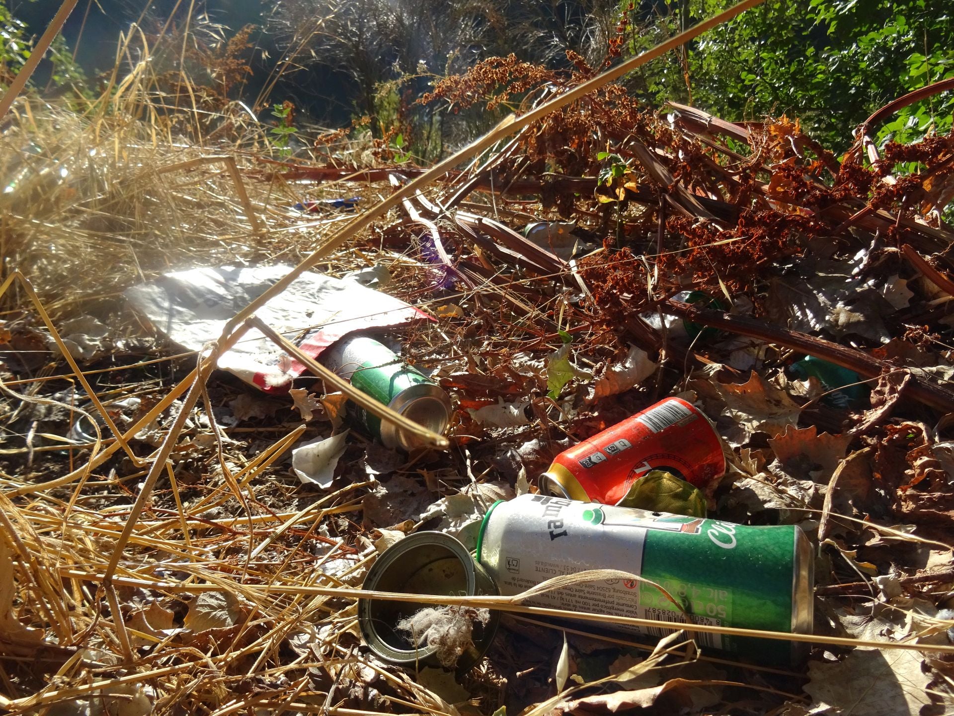 Las imágenes de la basura del Pisuerga
