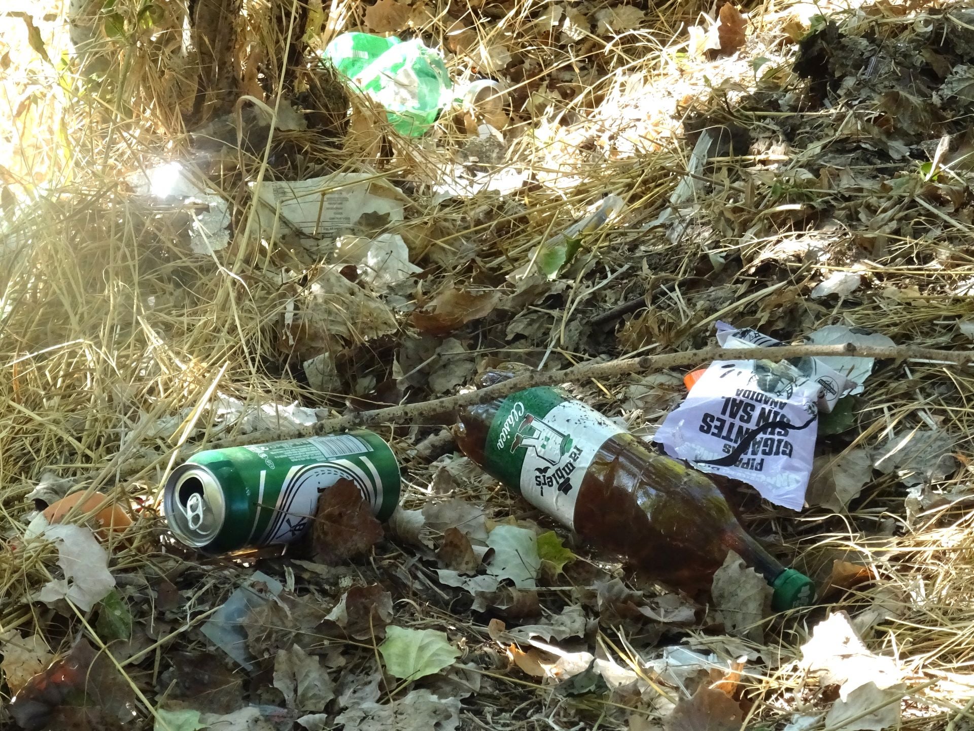 Las imágenes de la basura del Pisuerga