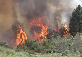Monte ardiendo en la provincia de Zamora el pasado mes de agosto.