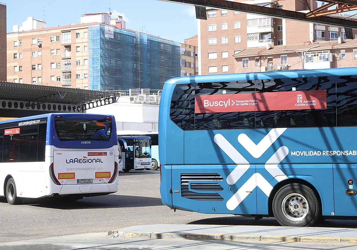 Autobuses anunciando el sistema Buscyl en Valladolid.