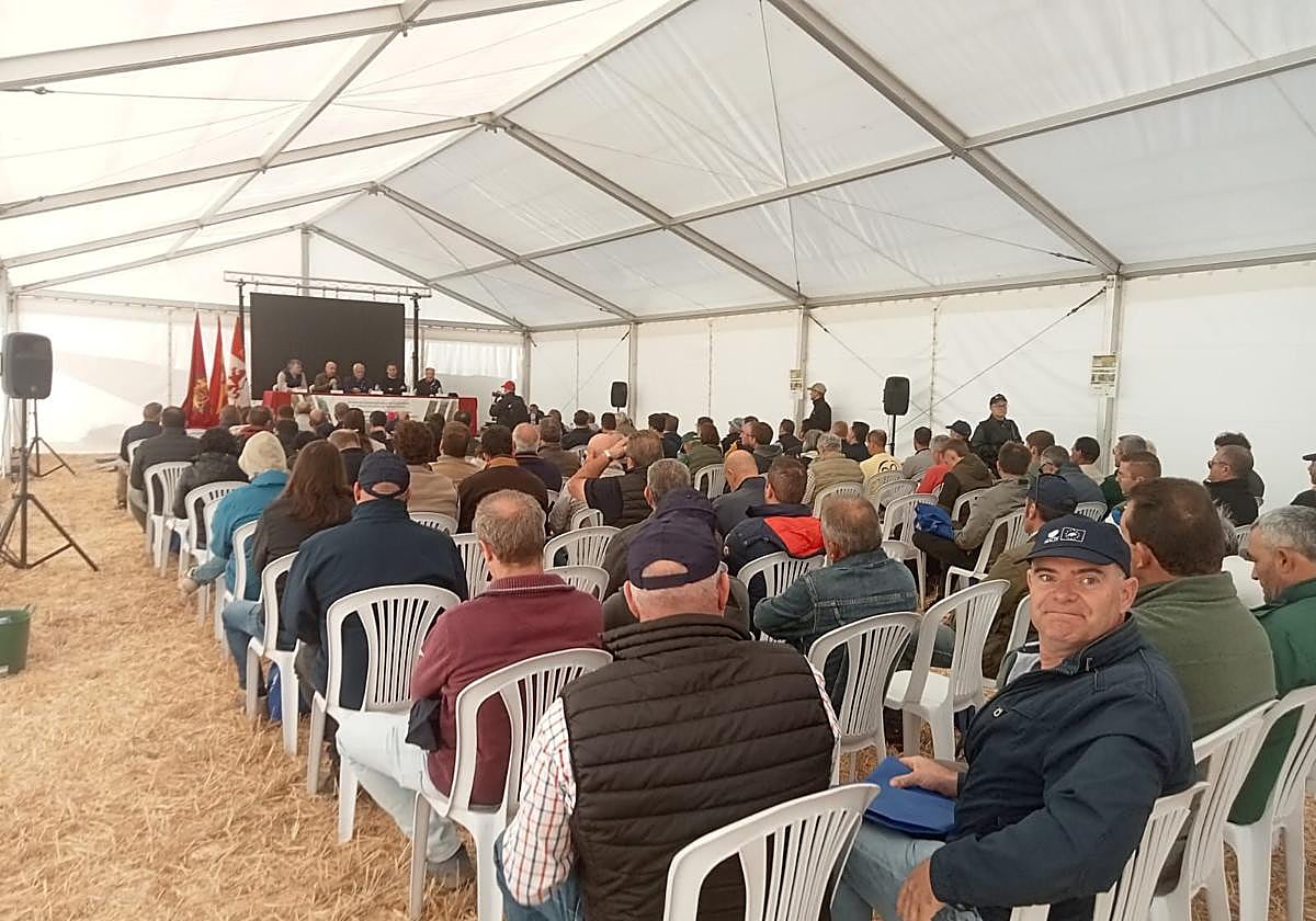 Asistentes a la jornada de Agricultura de Conservación celebrada en Barruelo del Valle