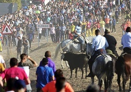 Una gran cantidad de personas, este jueves en el primer encierro de Olmedo.