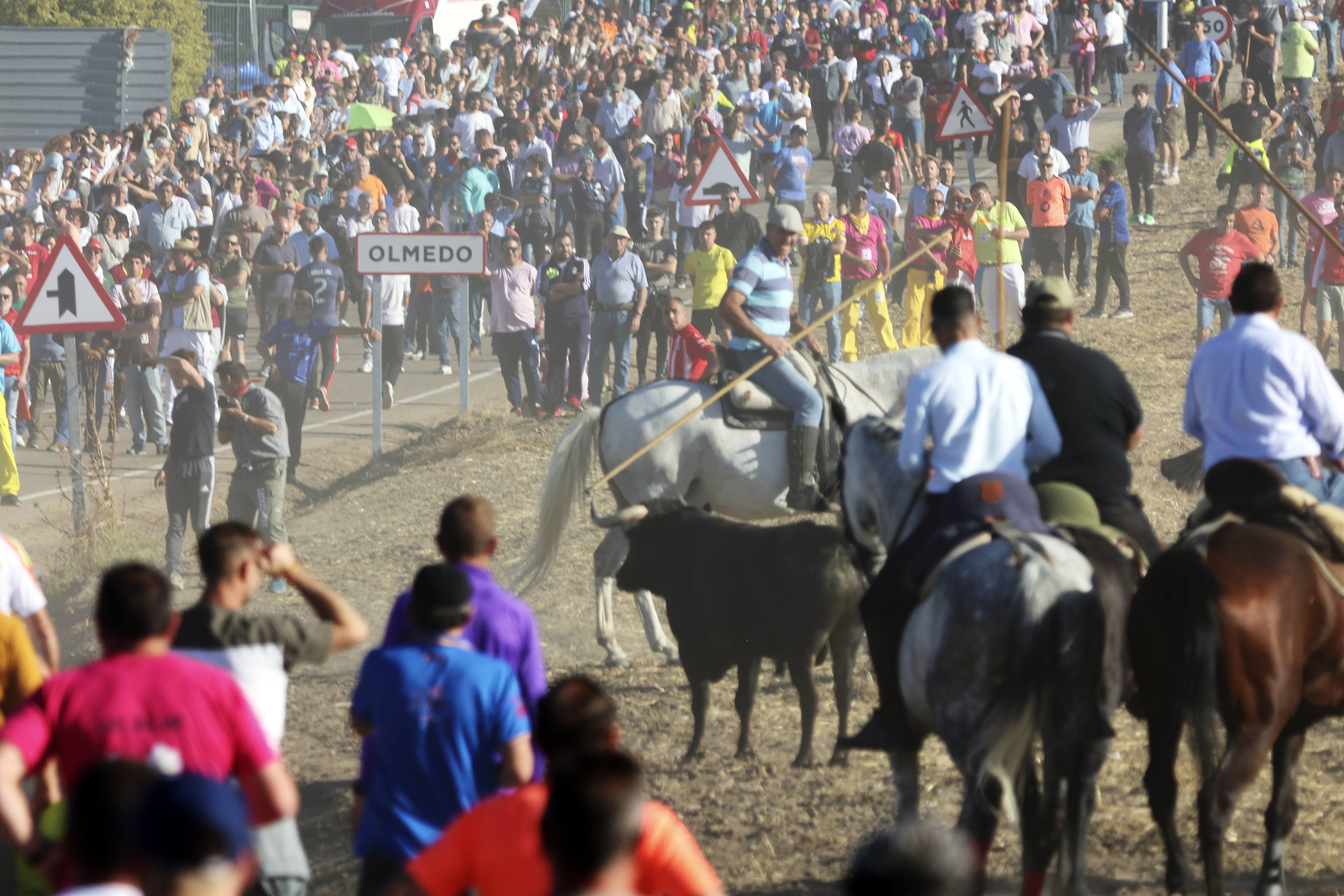Las imágenes del encierro en Olmedo