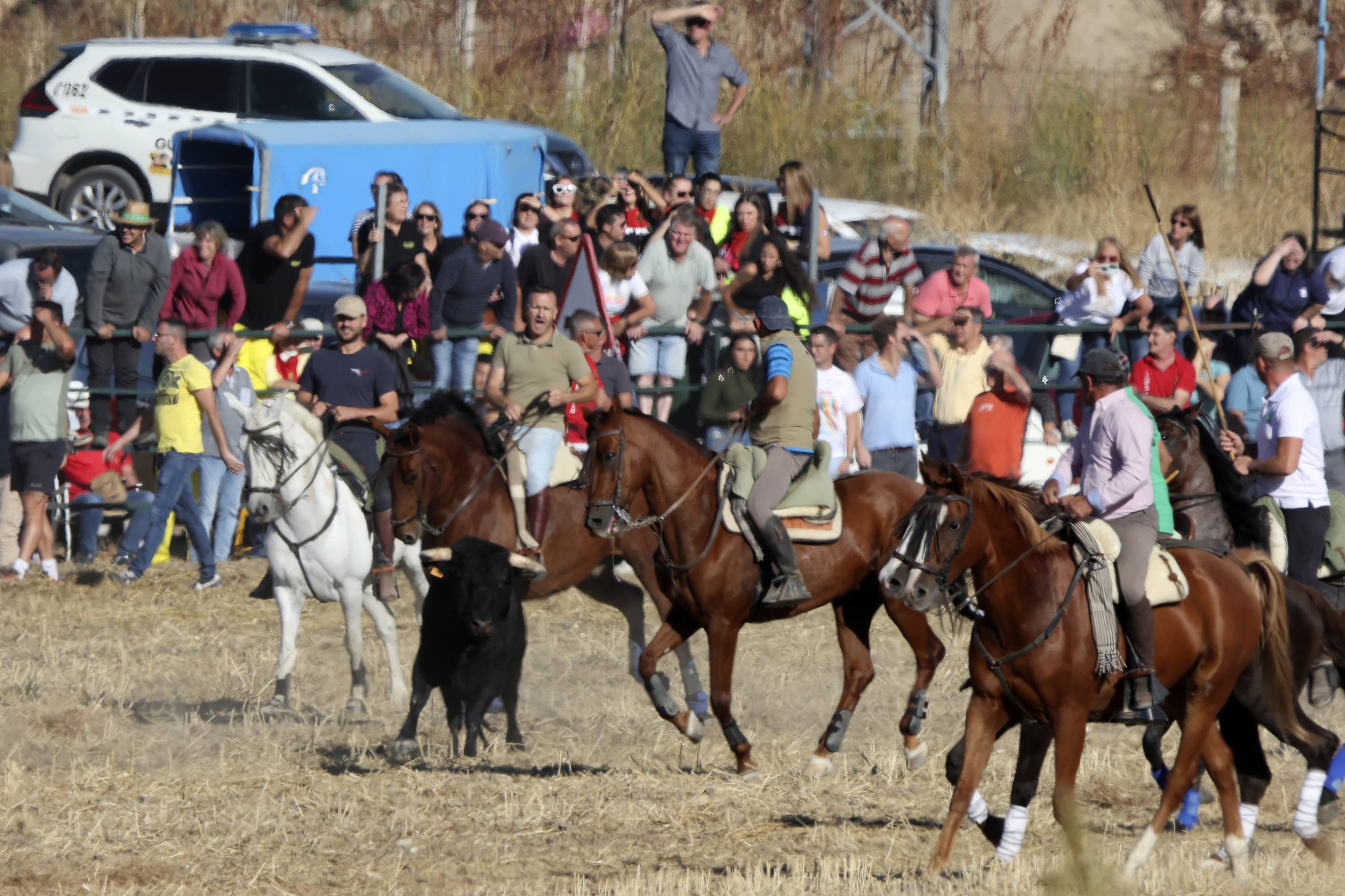 Las imágenes del encierro en Olmedo