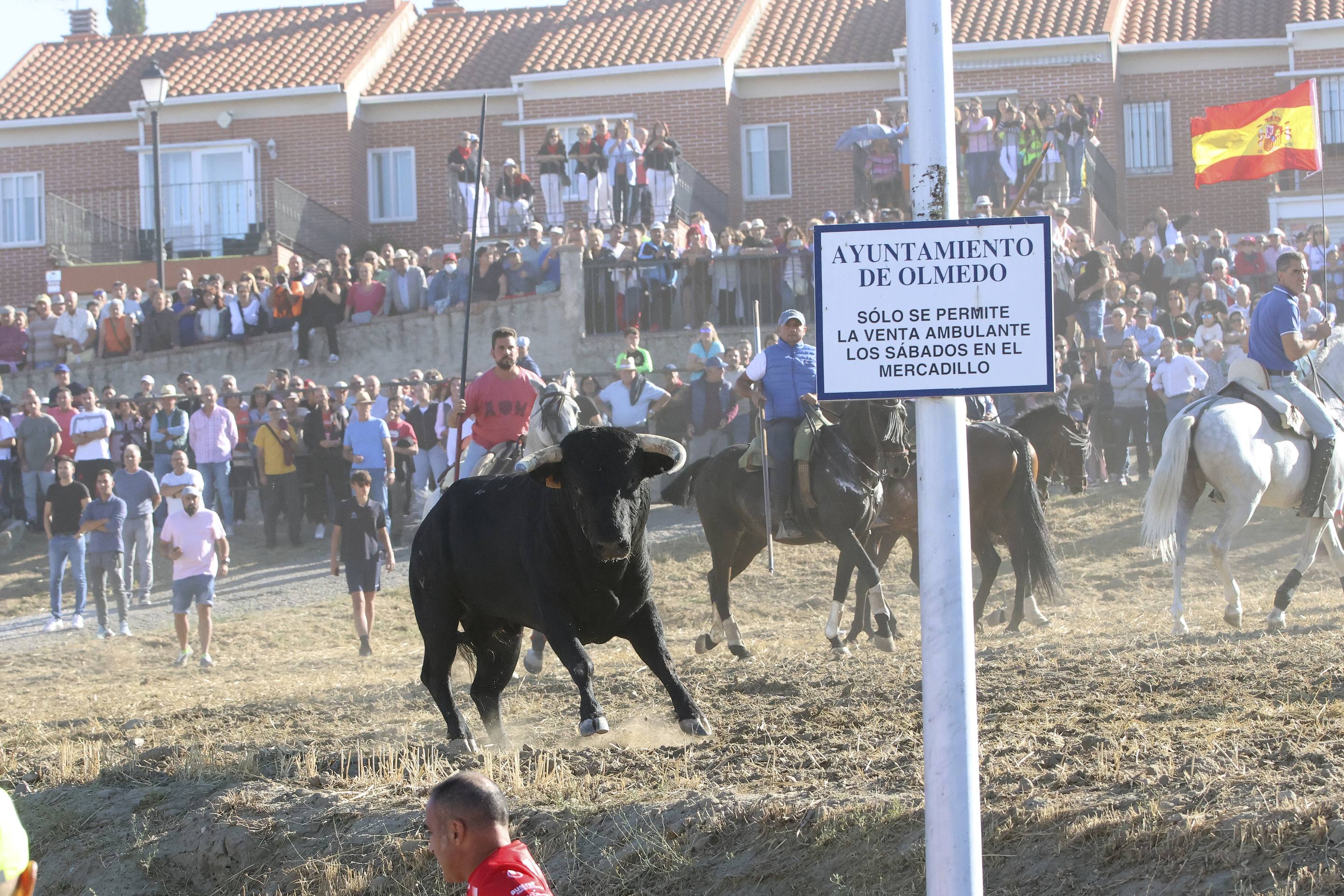 Las imágenes del encierro en Olmedo