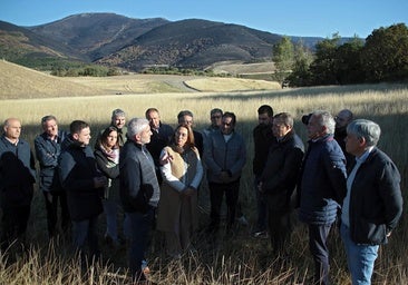 El Gobierno abonará antes de final de año las ayudas a agricultores y ganaderos afectados por los incendios