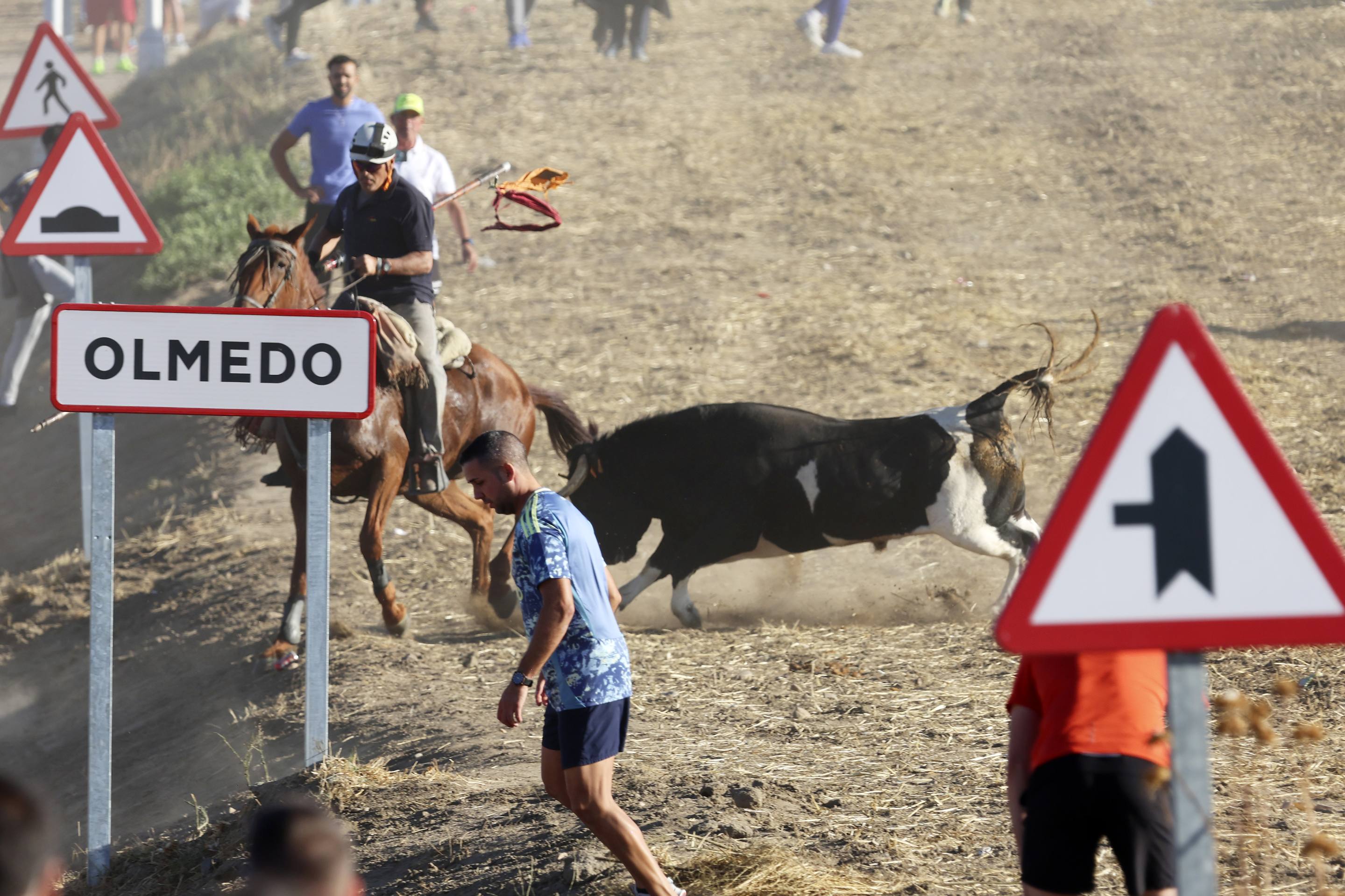 El encierro en Olmedo, en imágenes