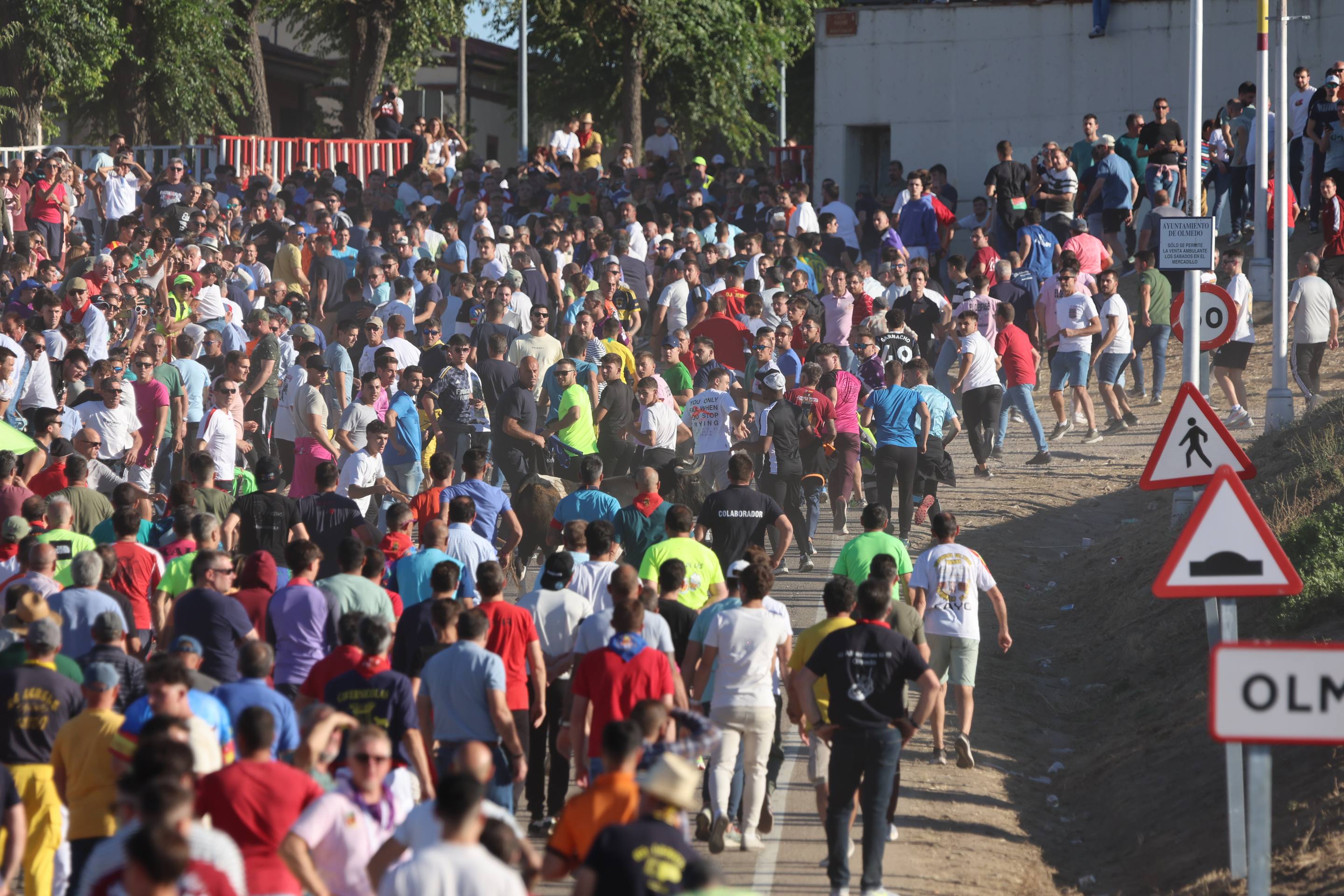 El encierro en Olmedo, en imágenes