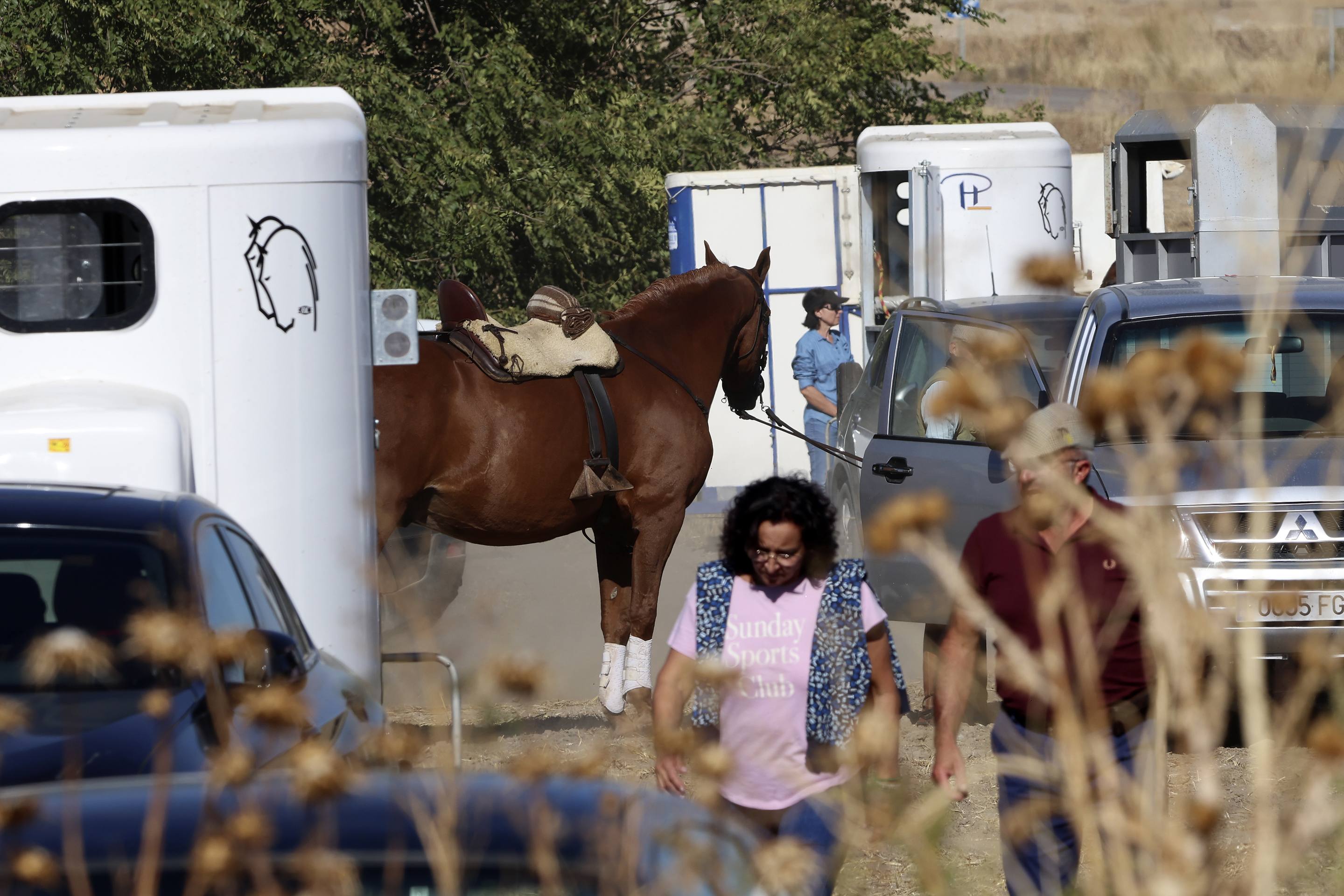 El encierro en Olmedo, en imágenes