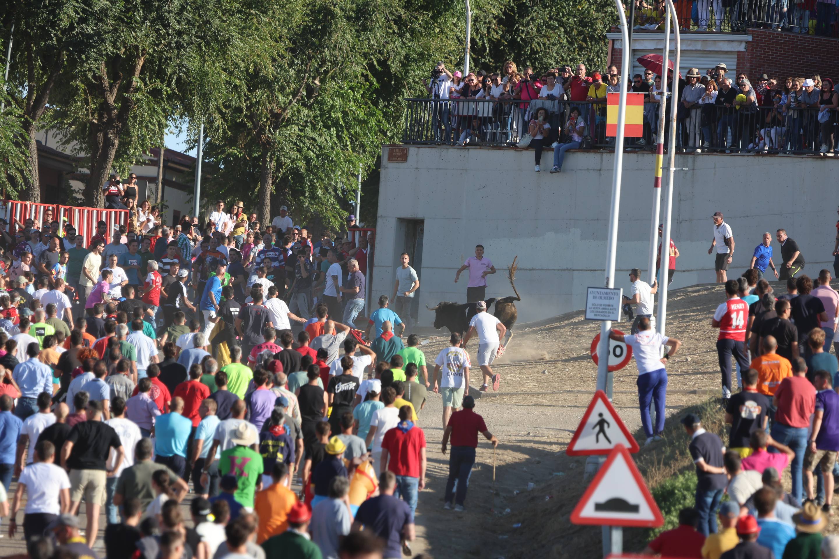 El encierro en Olmedo, en imágenes