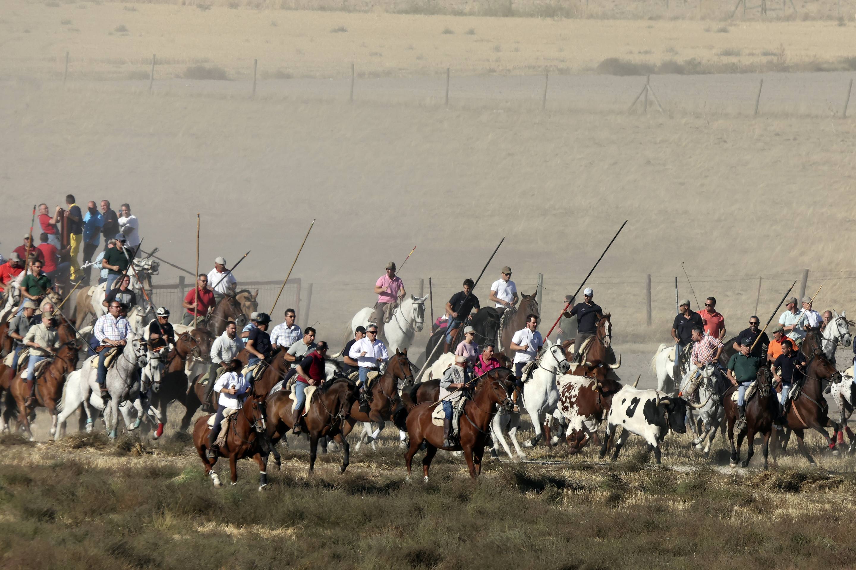 El encierro en Olmedo, en imágenes