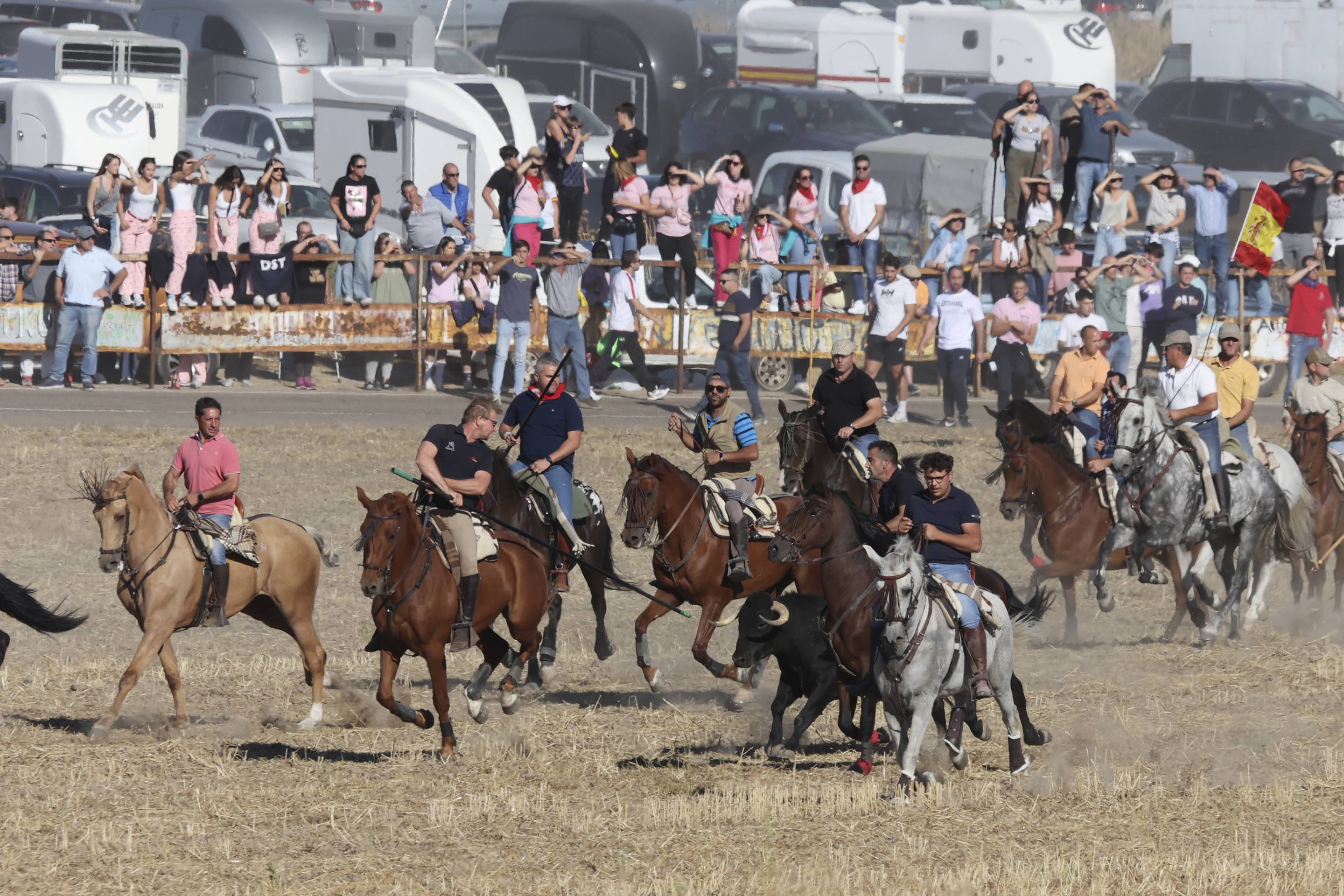 El encierro en Olmedo, en imágenes