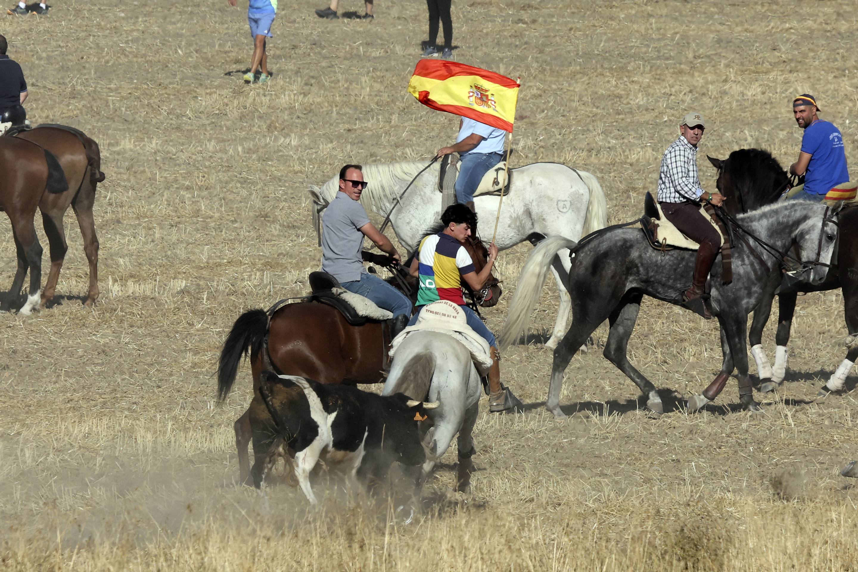 El encierro en Olmedo, en imágenes