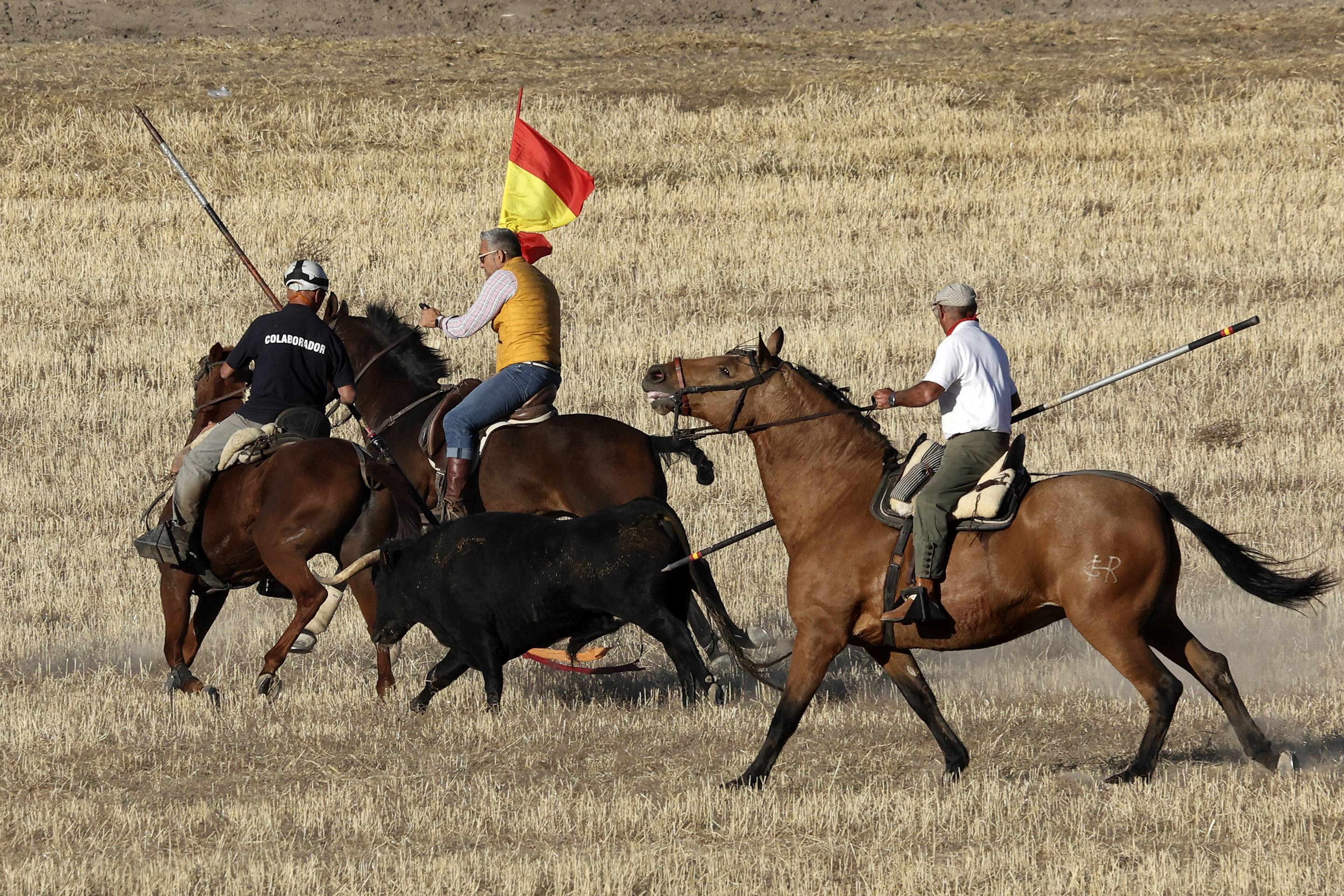 El encierro en Olmedo, en imágenes