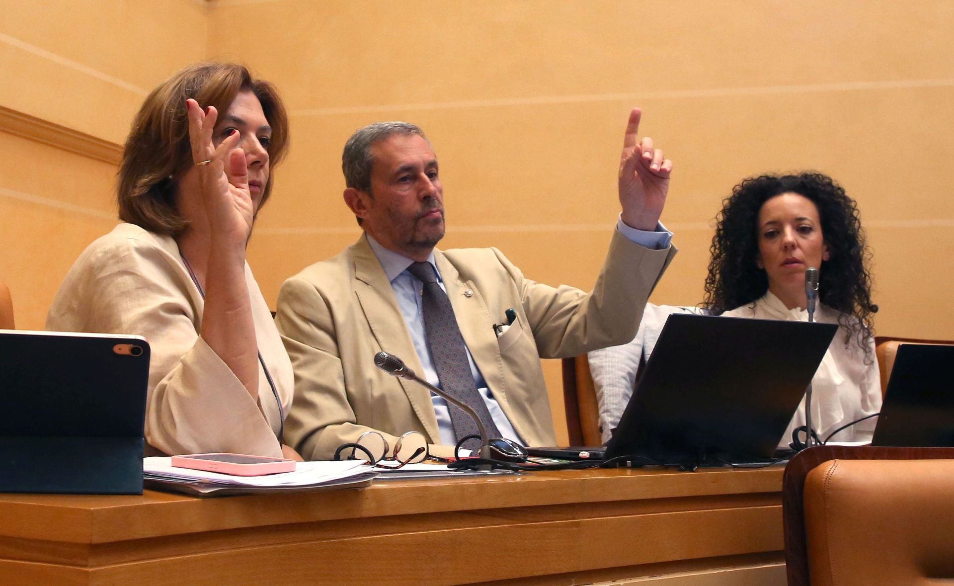 El pleno del Ayuntamiento de Segovia, en imágenes