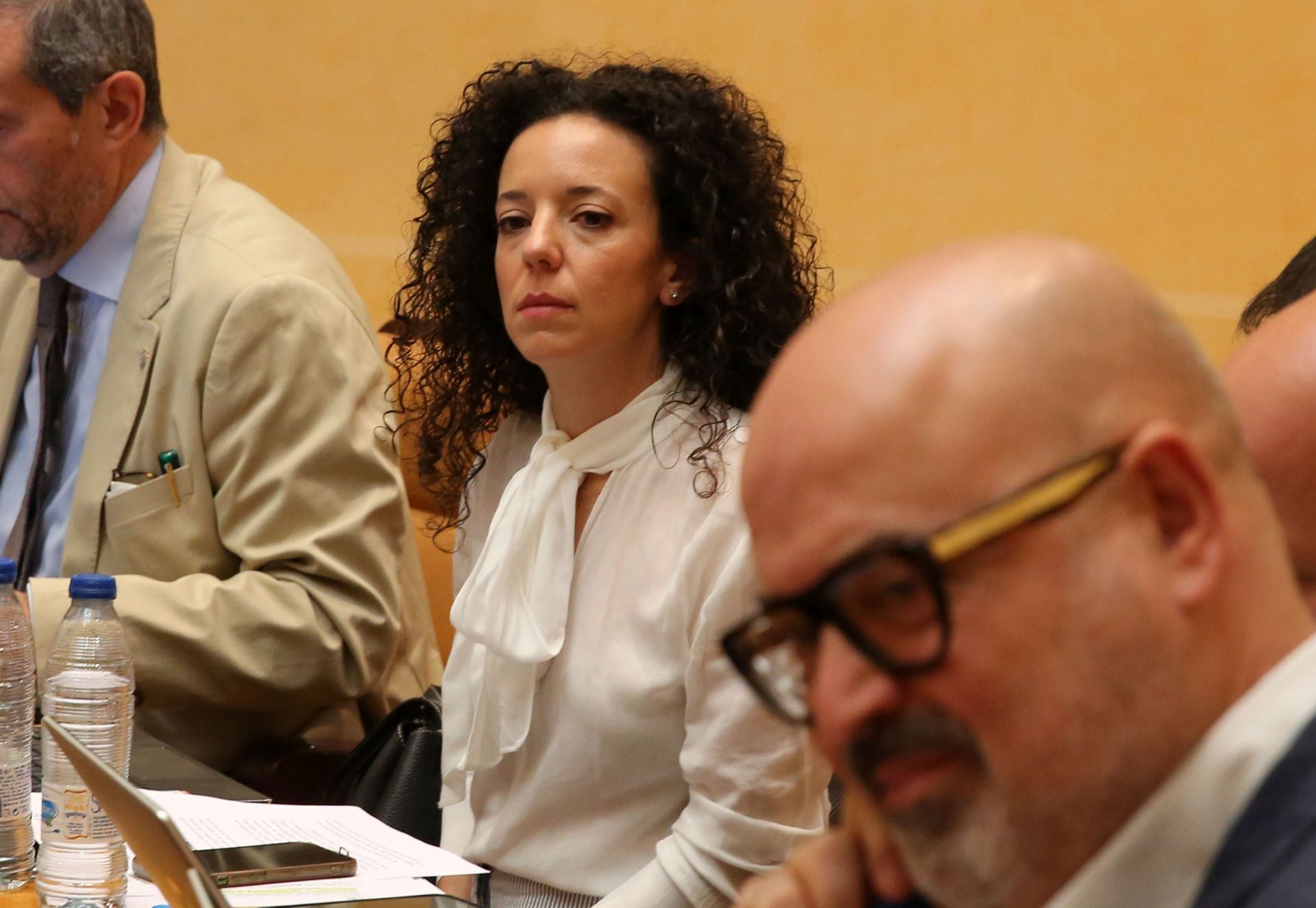 El pleno del Ayuntamiento de Segovia, en imágenes