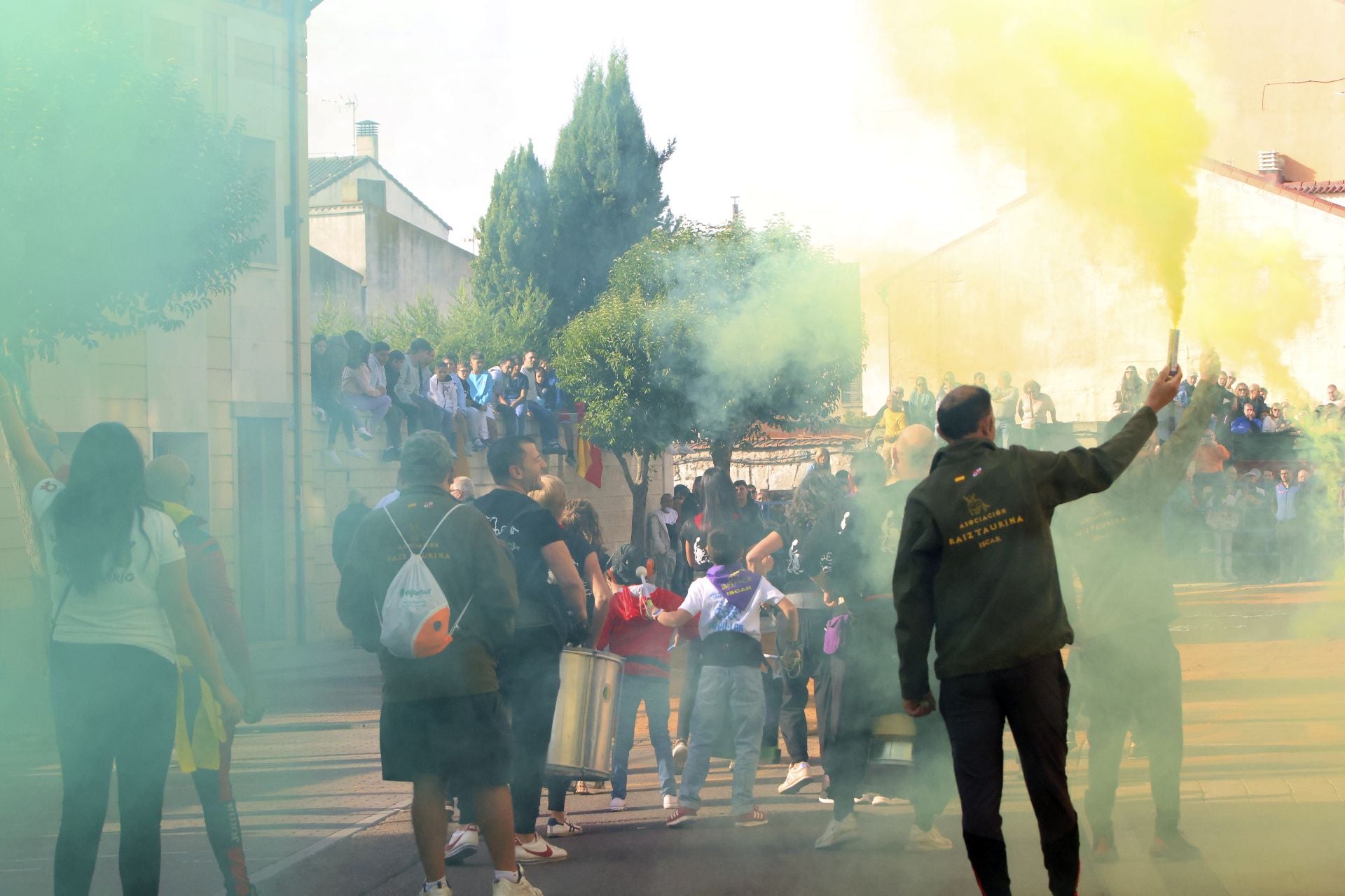 Toro del Cajón en Íscar