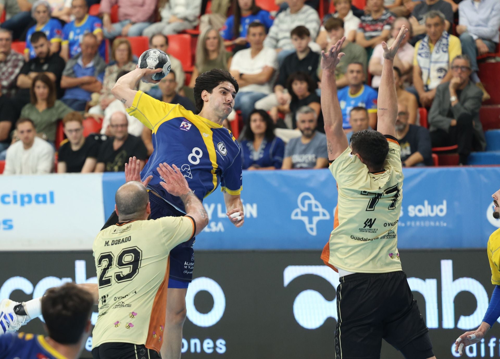 Fotos del partido entre el Balonmano Atlético Valladolid y el Guadalajara