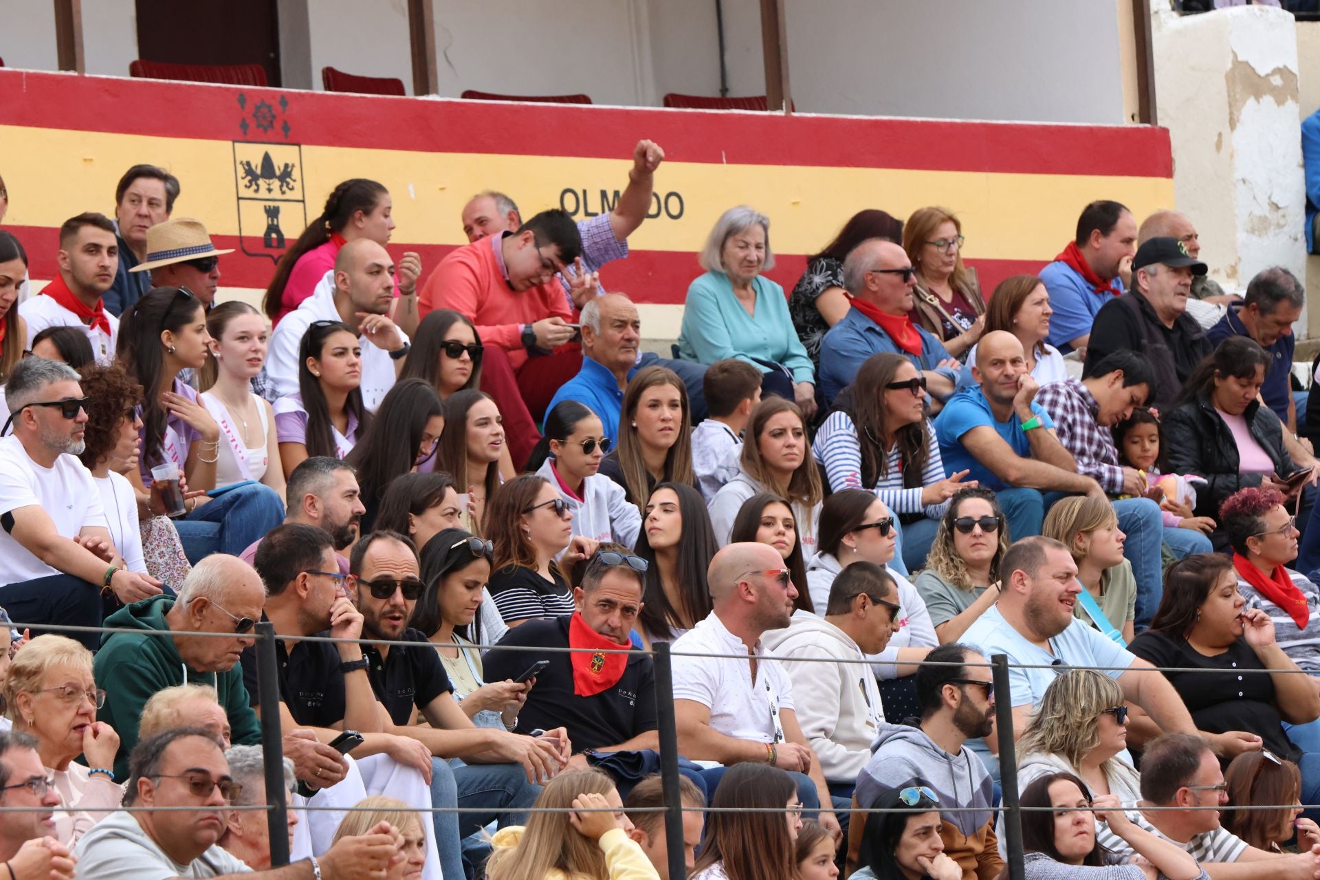 Fotografías del concurso de cortes celebrado en Olmedo