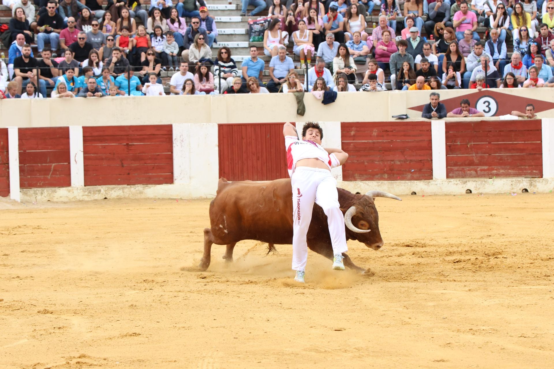 Fotografías del concurso de cortes celebrado en Olmedo