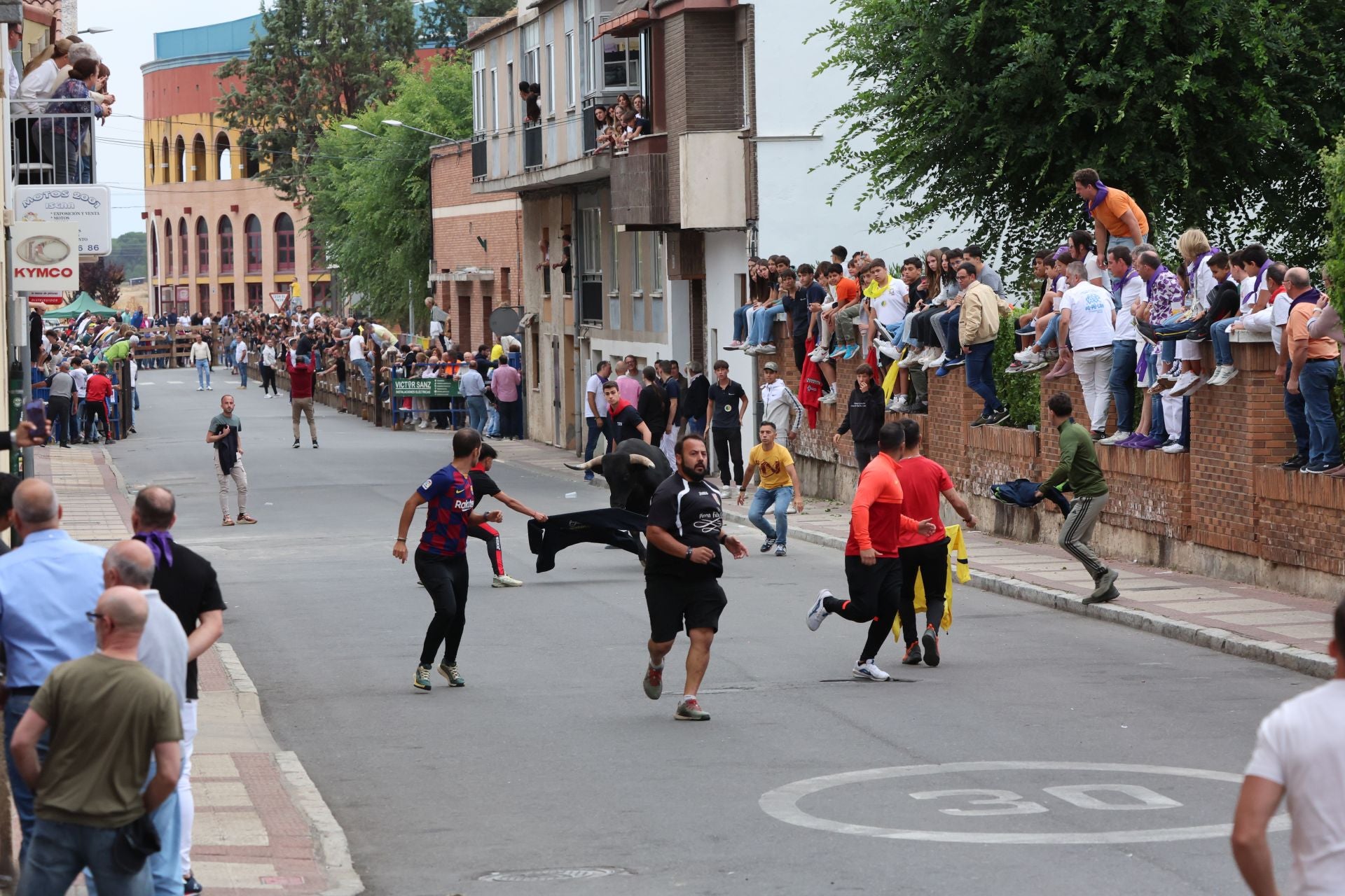 Las imágenes del encierro urbano celebrado en Íscar