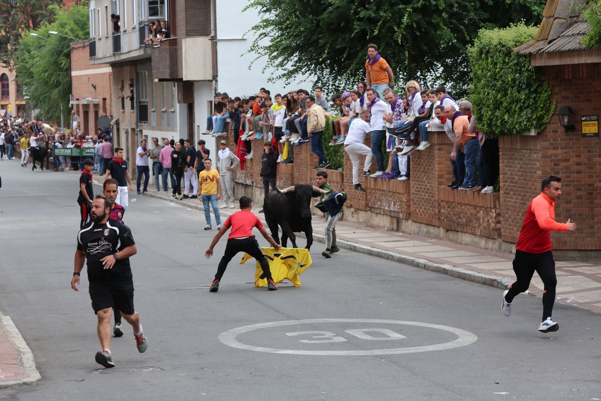 Las imágenes del encierro urbano celebrado en Íscar