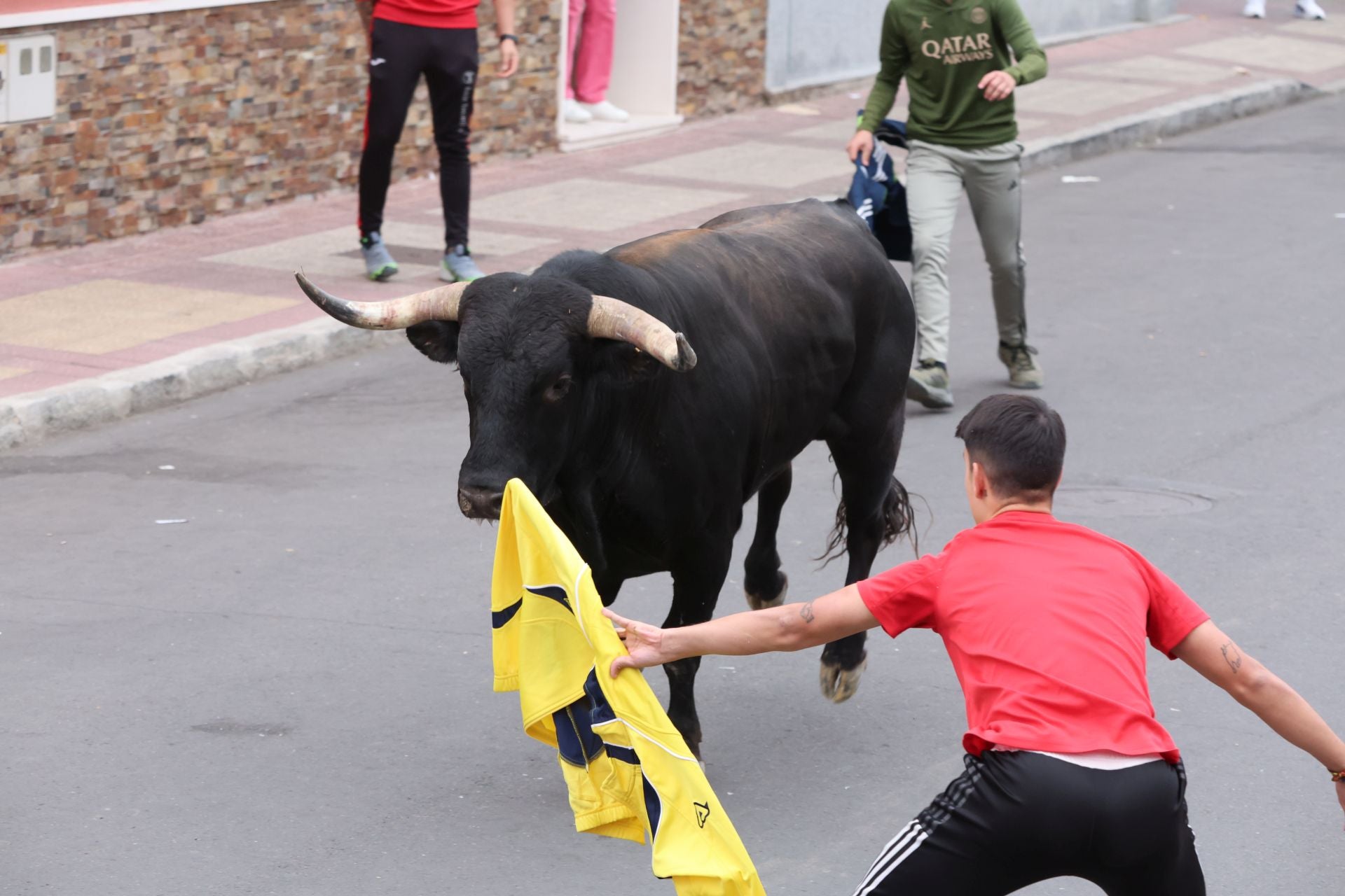 Las imágenes del encierro urbano celebrado en Íscar