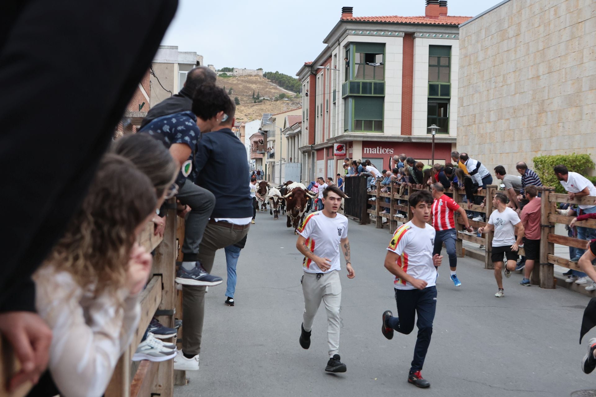 Las imágenes del encierro urbano celebrado en Íscar