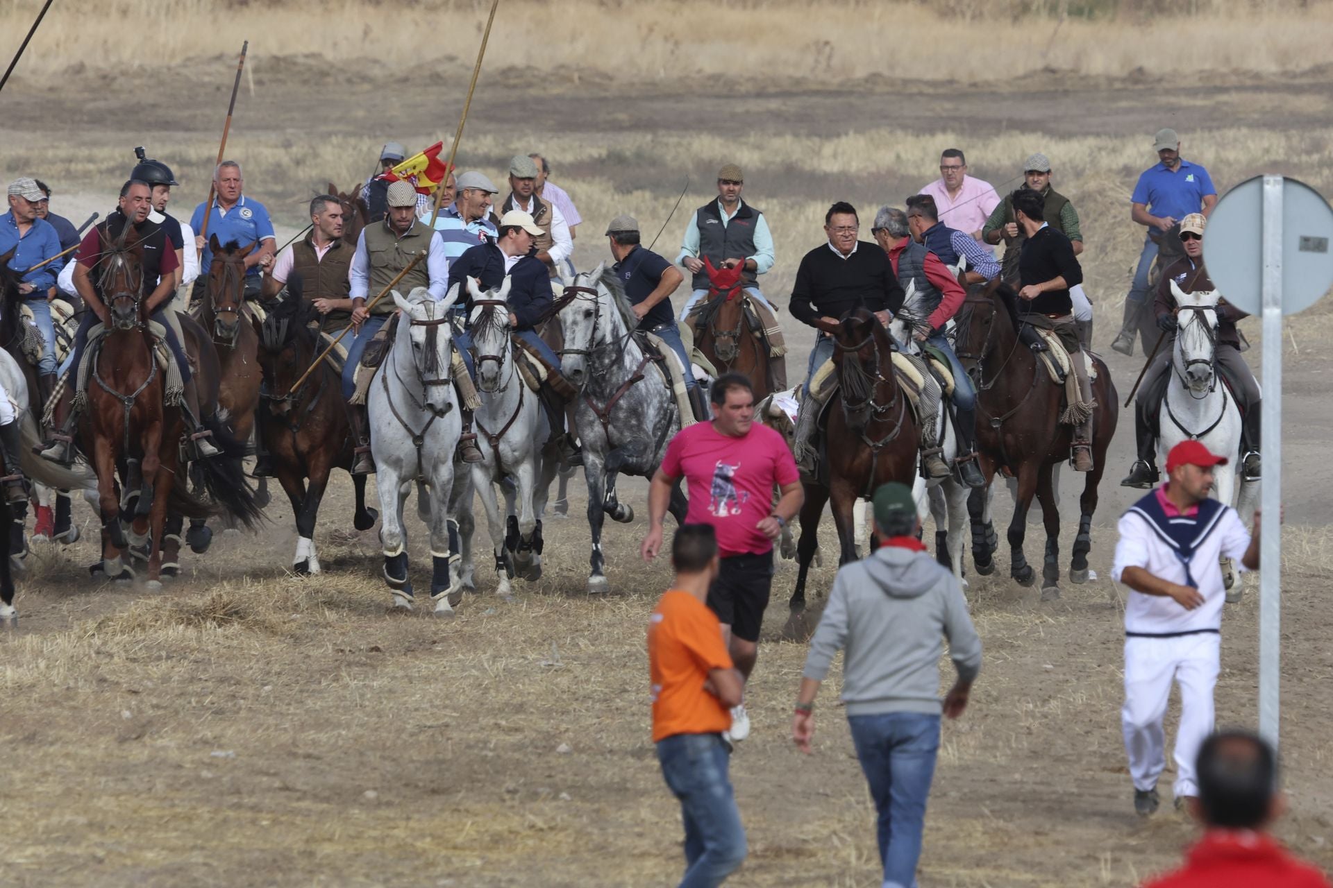 Encierro en Olmedo el sábado por la mañana