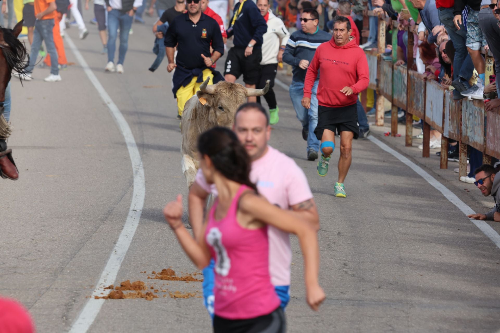 Encierro en Olmedo el sábado por la mañana