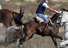 Encierro en Olmedo el sábado por la mañana