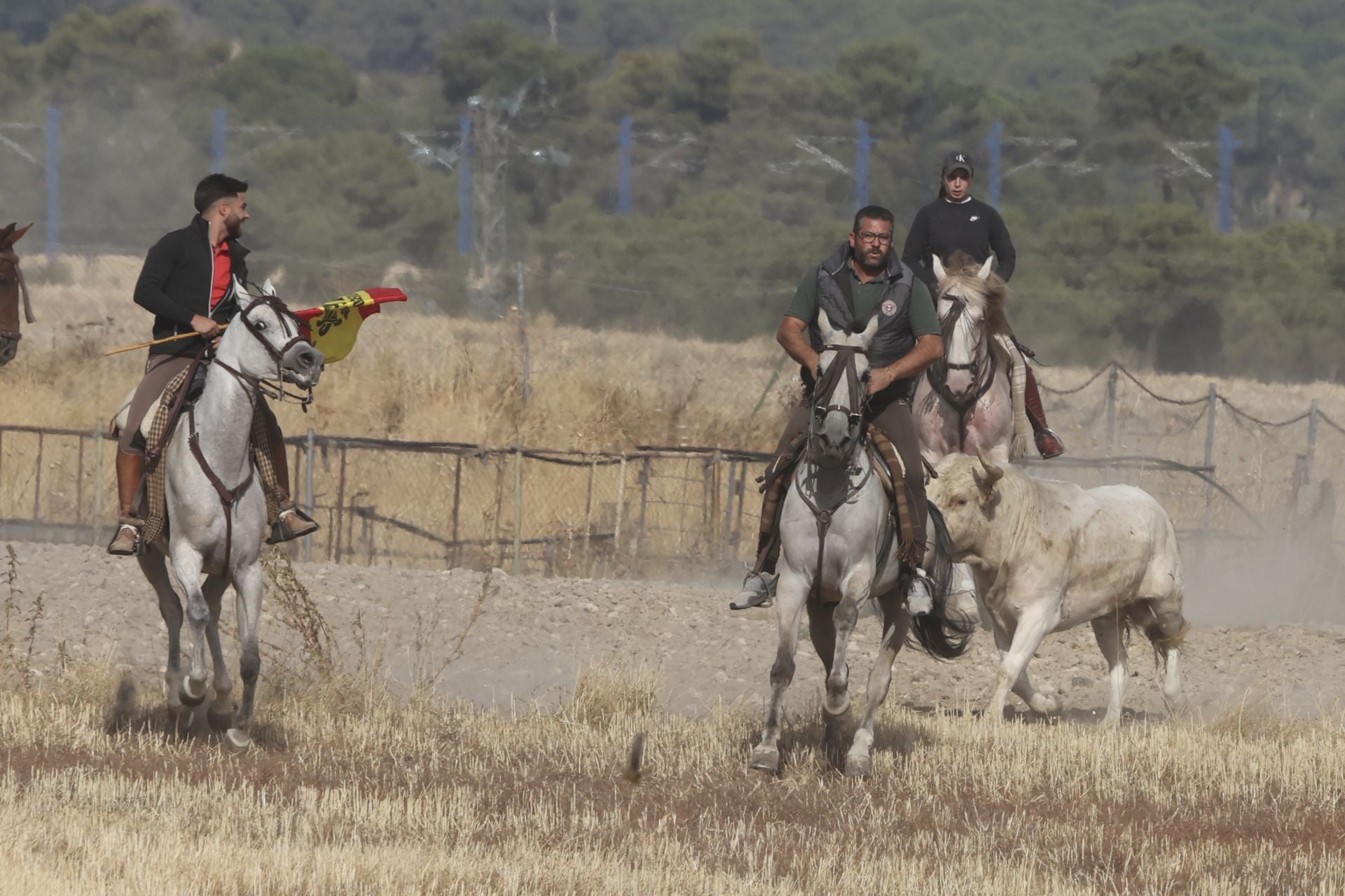 Encierro en Olmedo el sábado por la mañana