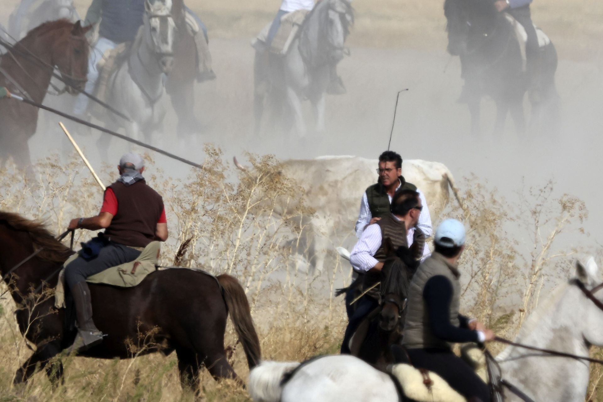 Encierro en Olmedo el sábado por la mañana