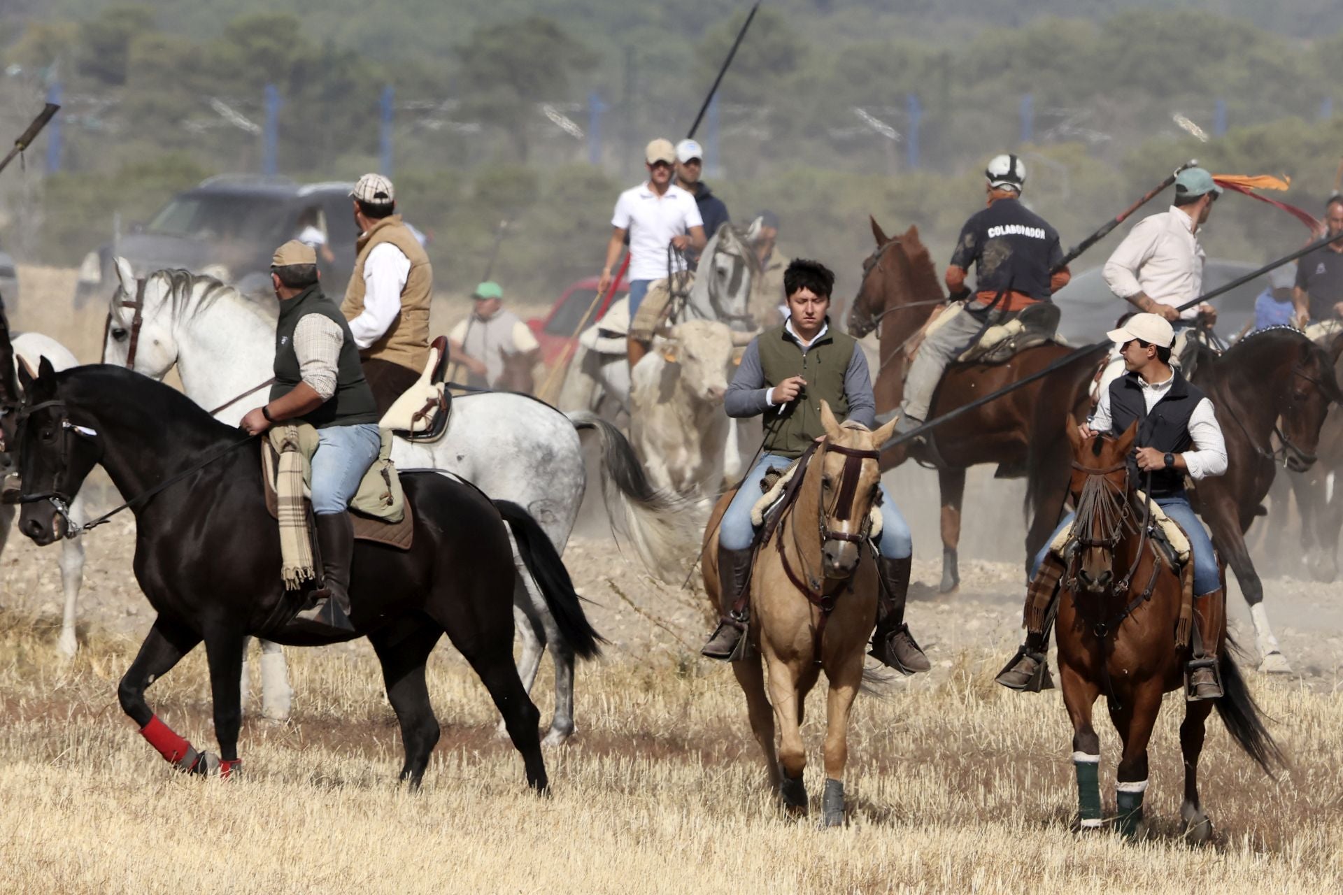 Encierro en Olmedo el sábado por la mañana