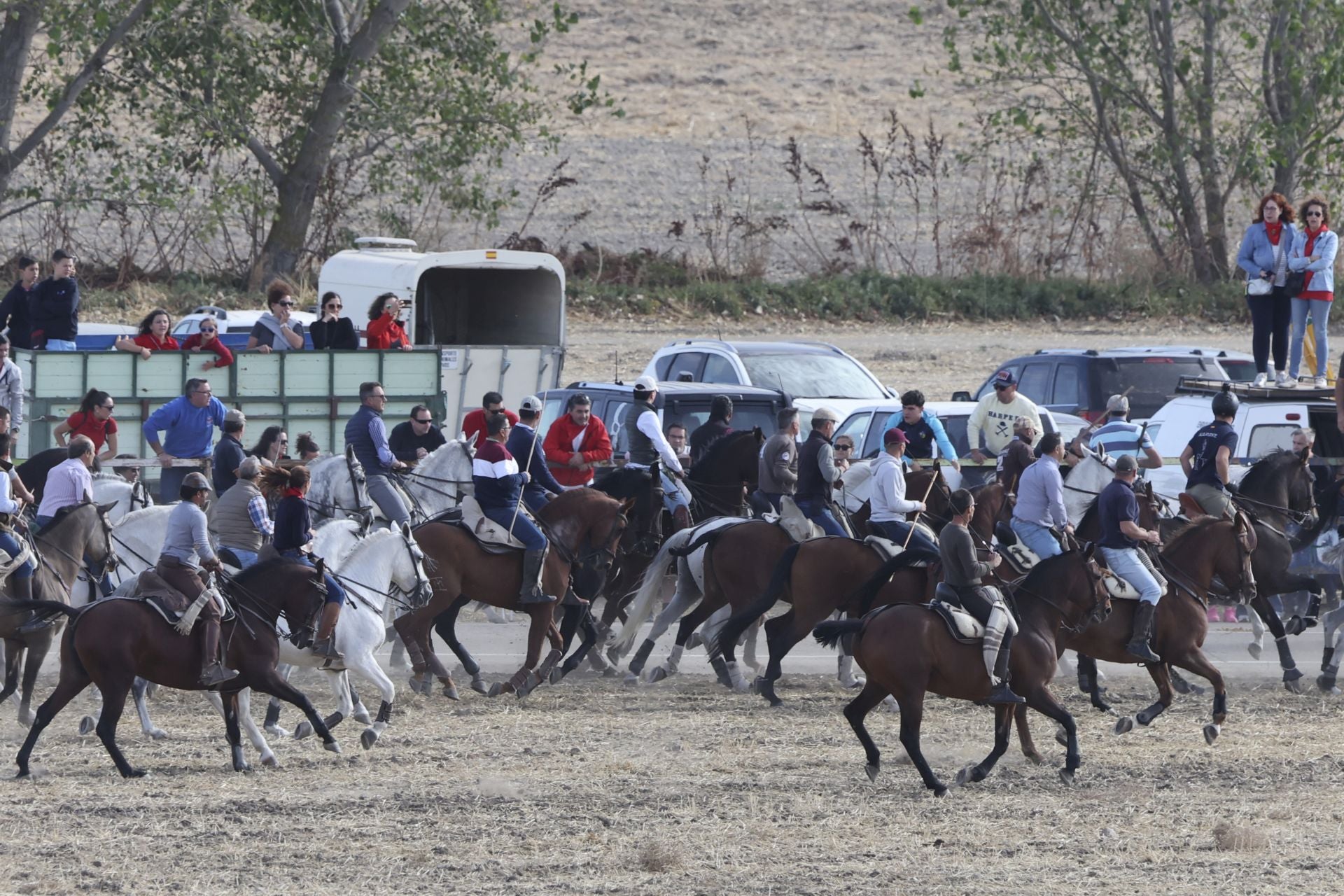 Encierro en Olmedo el sábado por la mañana